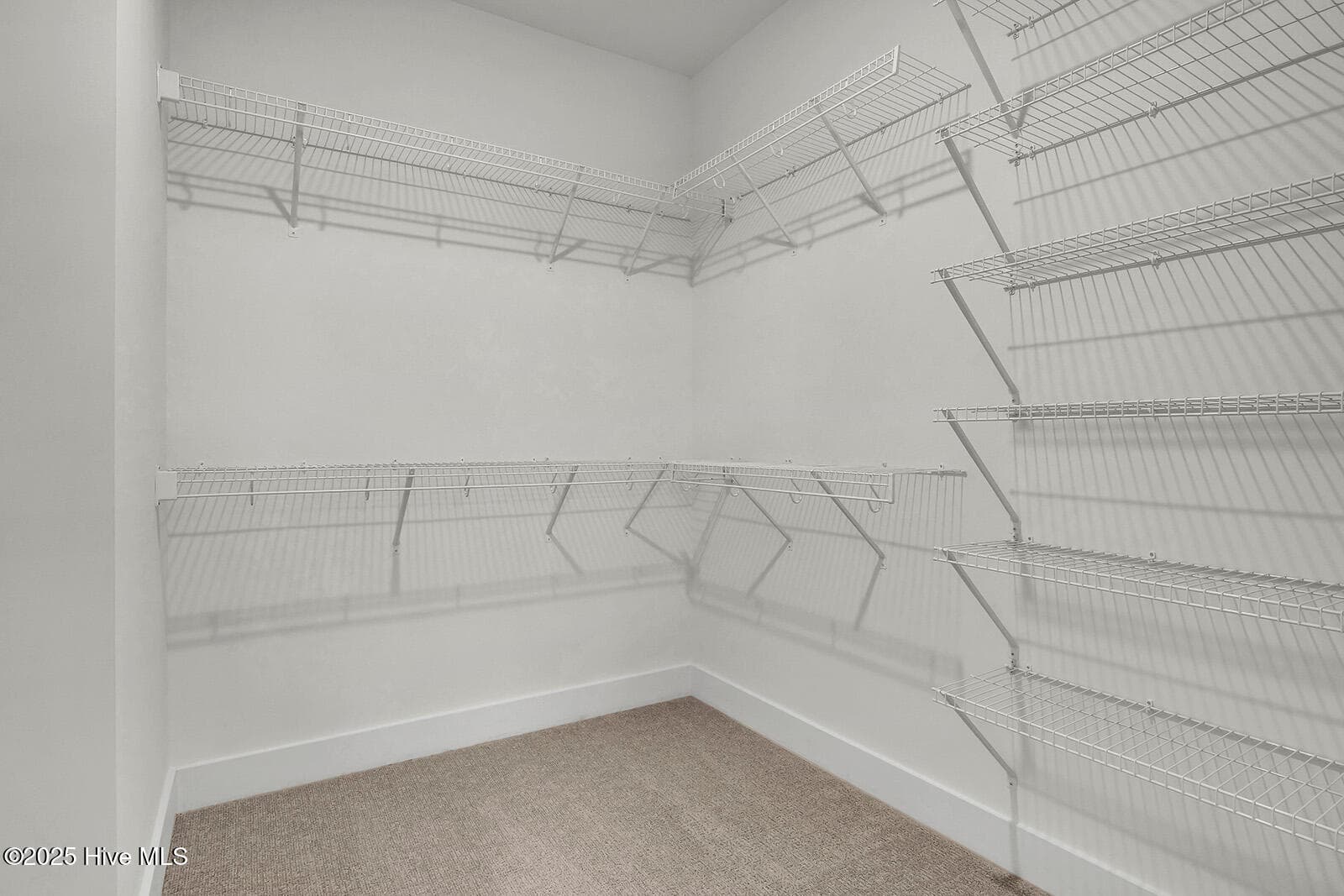 Not of actual home - 532 Heart Pine Avenue, Wilmington, NC 28411