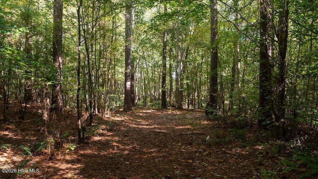 Mixed Use at 0 Spring Hill Road, Scotland Neck, NC 27874, photo 5 of 93