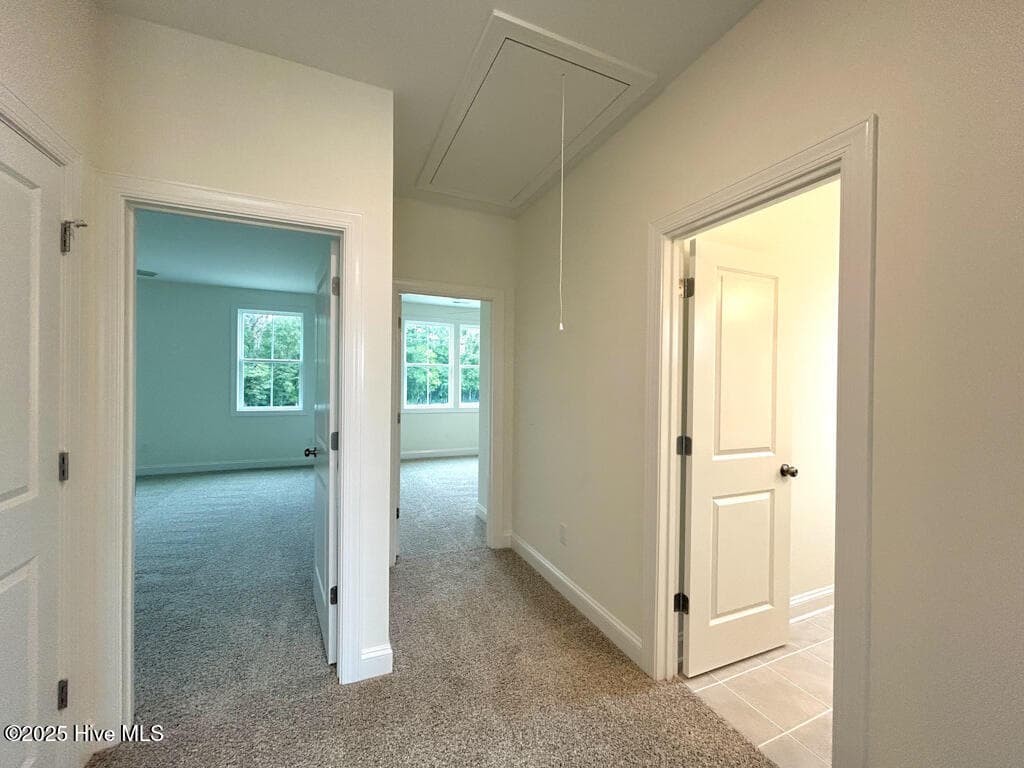 SIMILAR PHOTO - 818 Tupelo Tree Drive, Hubert, NC 28539