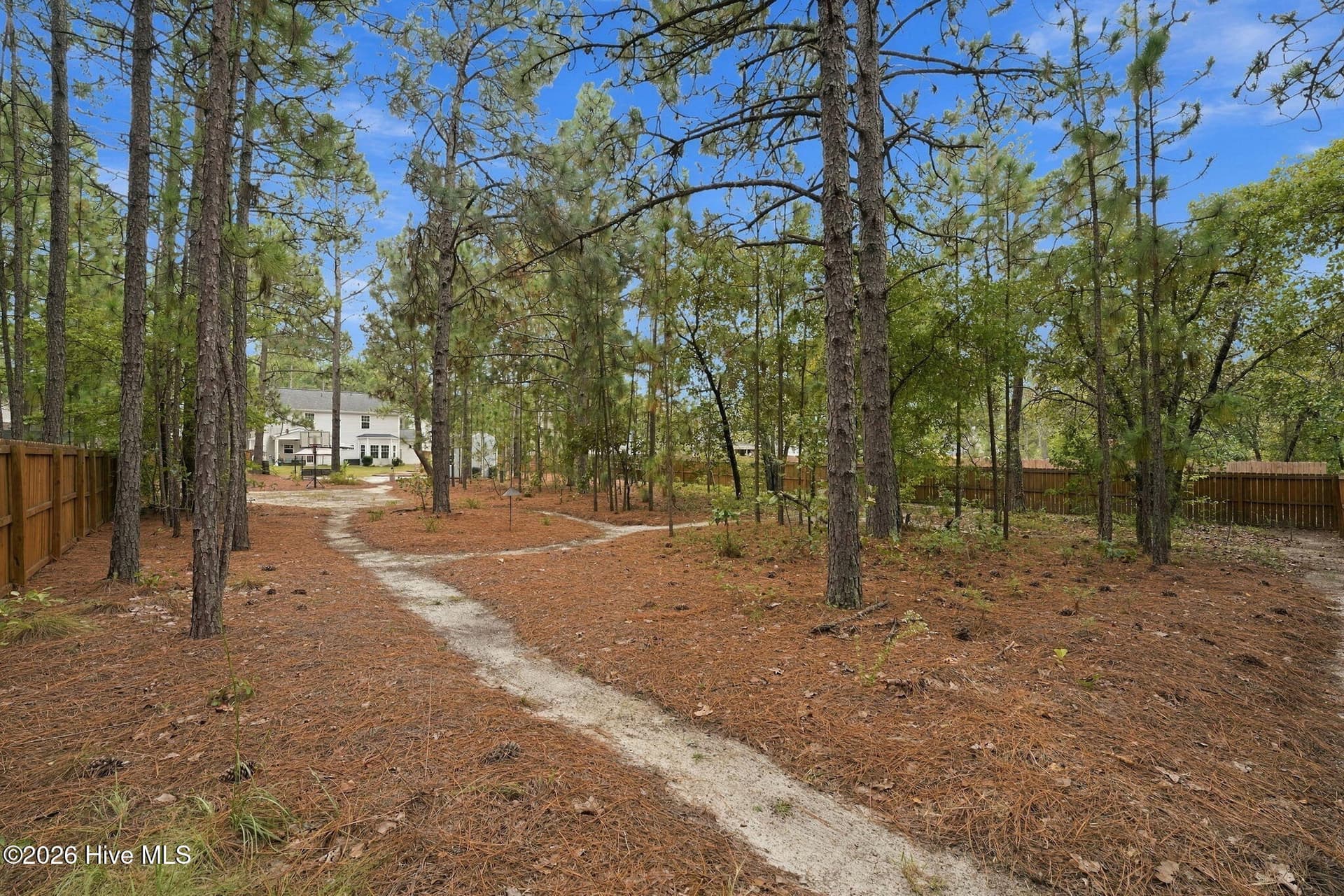 Back Yard - 1140 Whitney Drive, Aberdeen, NC 28315