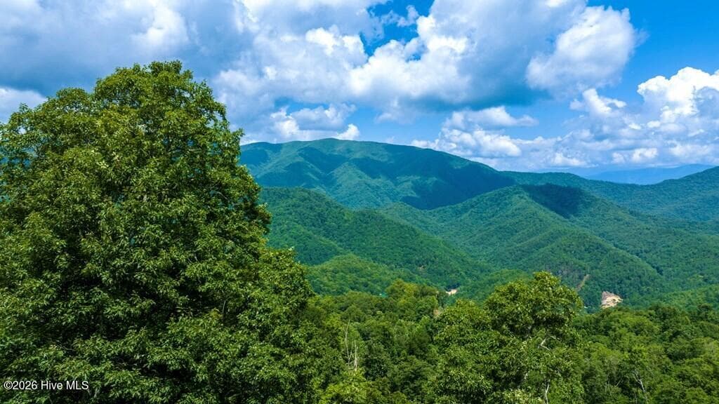Single Family Residence at 235 Rios Drive, Bryson City, NC 28713, Bryson City, photo 3 of 29