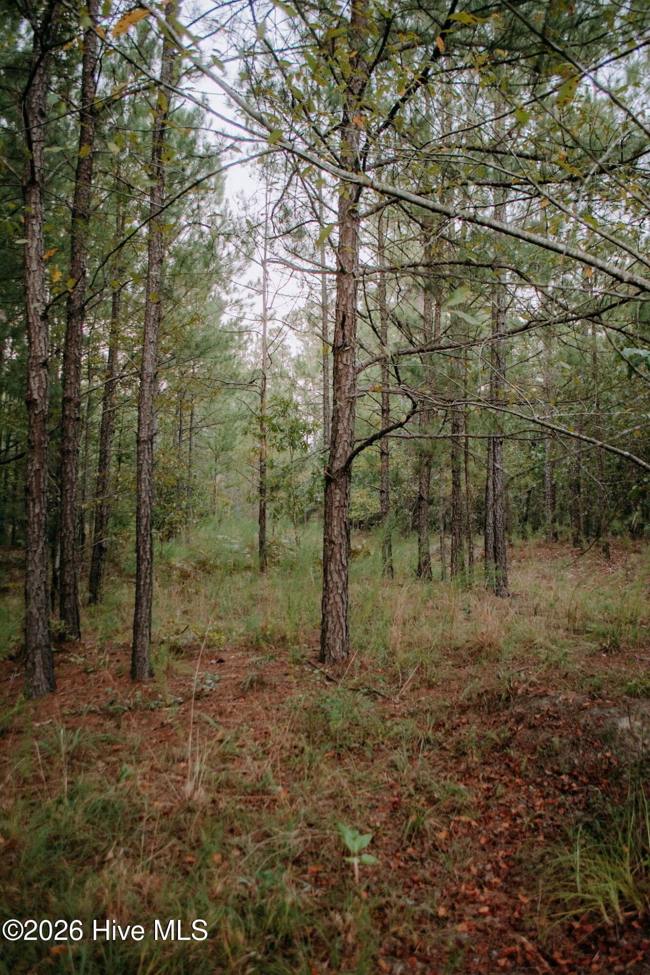 Residential Lot at Lot 1-Tbd Nighthawk Loop, Aberdeen, NC 28315, photo 2 of 4