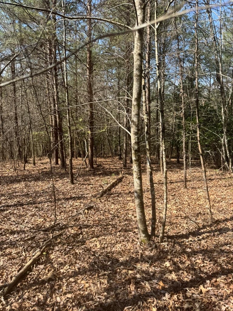 Residential Lot at 00 Blue Ridge Heights, Hayesville, NC 28906, Hayesville, photo 6 of 11