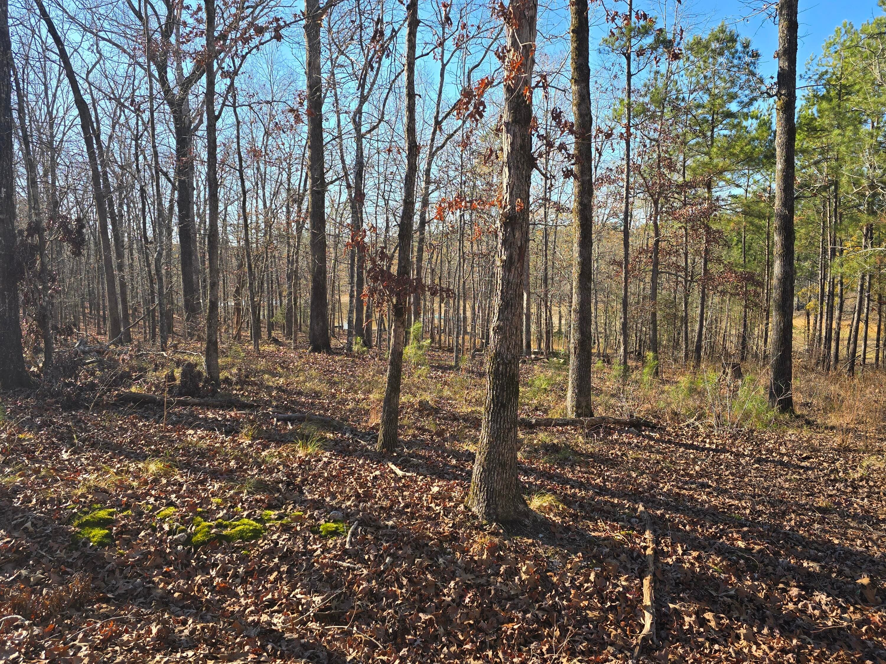 Residential Lot at 1102 Dogwood Drive, Lincolnton, GA 30817, photo 22 of 46