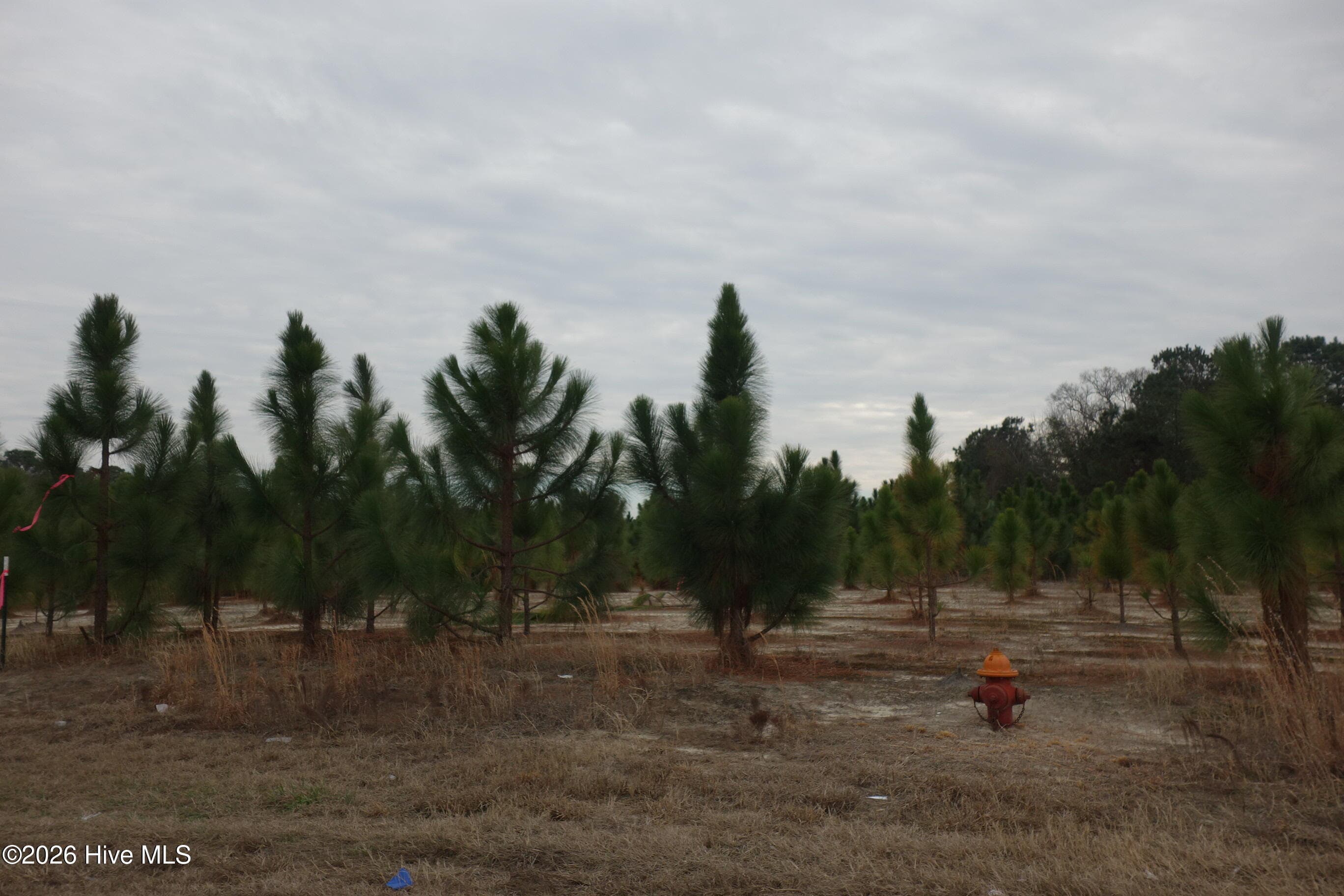 Lot 42 Stuarts Mill Road, Fairmont, NC 28340