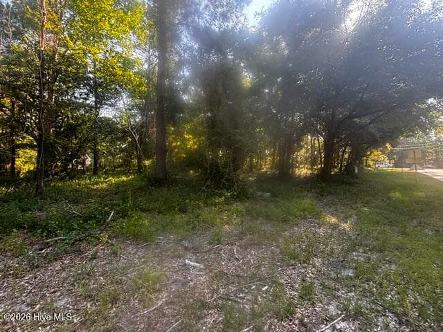 Residential Lot at 2408 Tract 2 Zion Hill Rd Road SE, Bolivia, NC 28422, photo 4 of 4