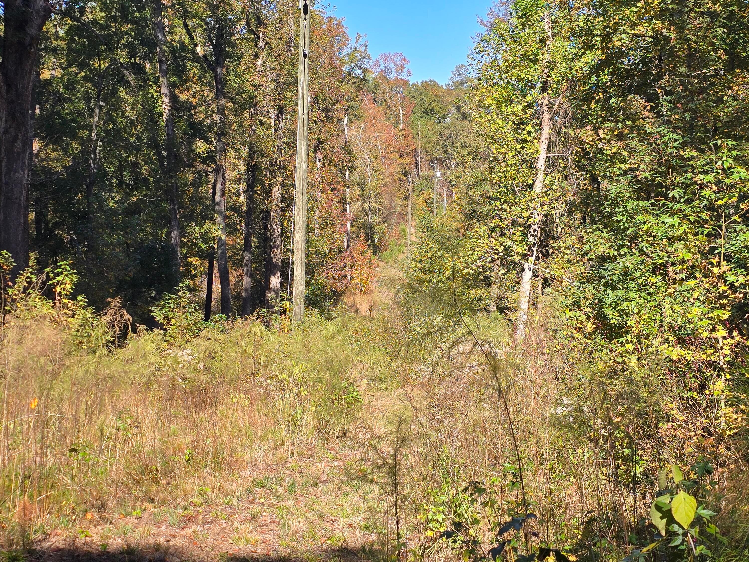 Mixed Use at 7501 Rainey Morris Road, Appling, GA 30802, photo 43 of 47