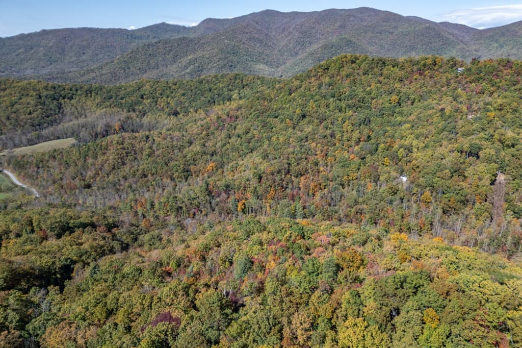 Undeveloped at Lot 38 38 Skyview At Wildlife Acres, Hayesville, NC 28904, Hayesville, photo 19 of 32
