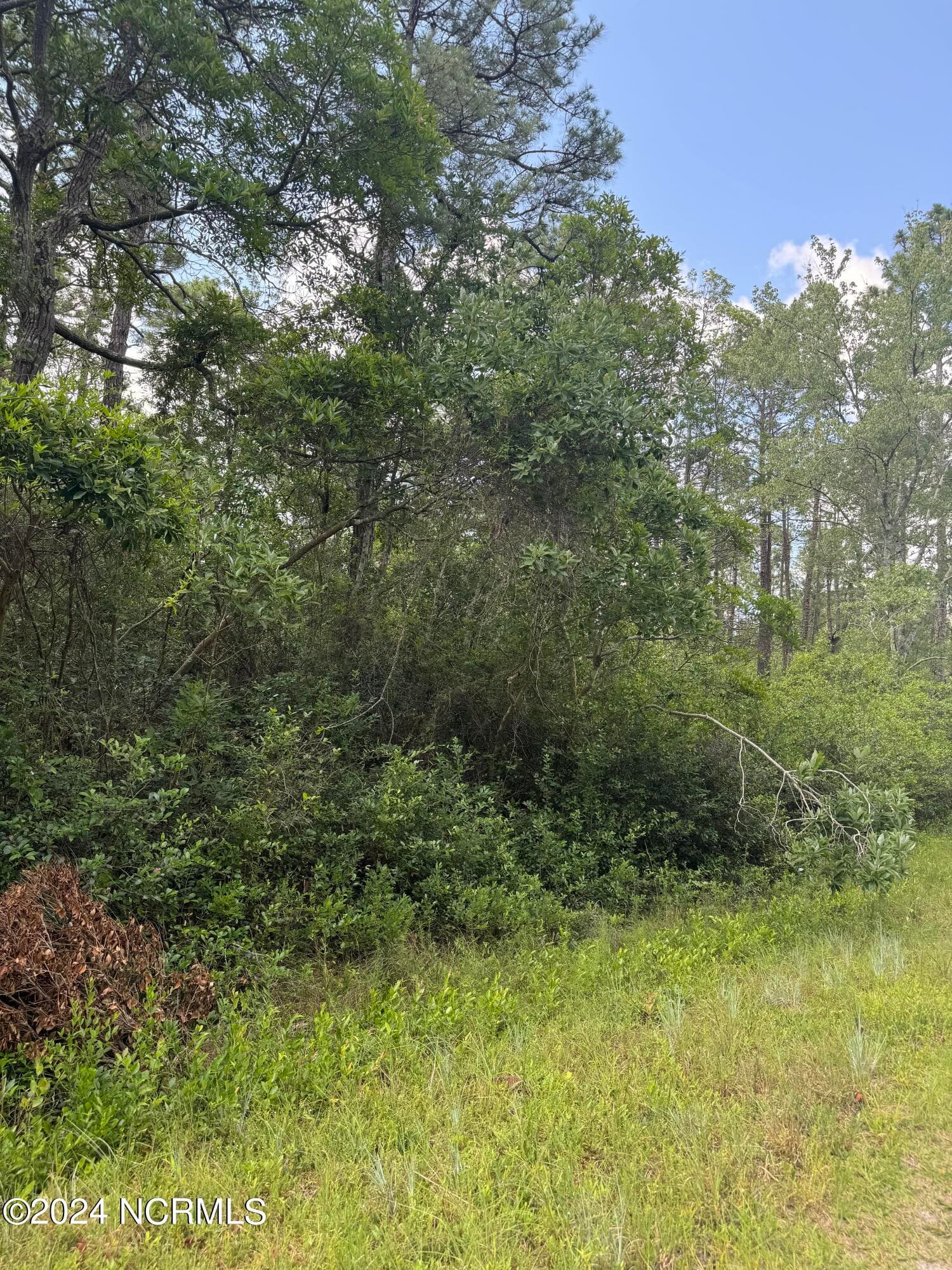 1120 83 Beech Road, Boiling Spring Lakes, NC 28461