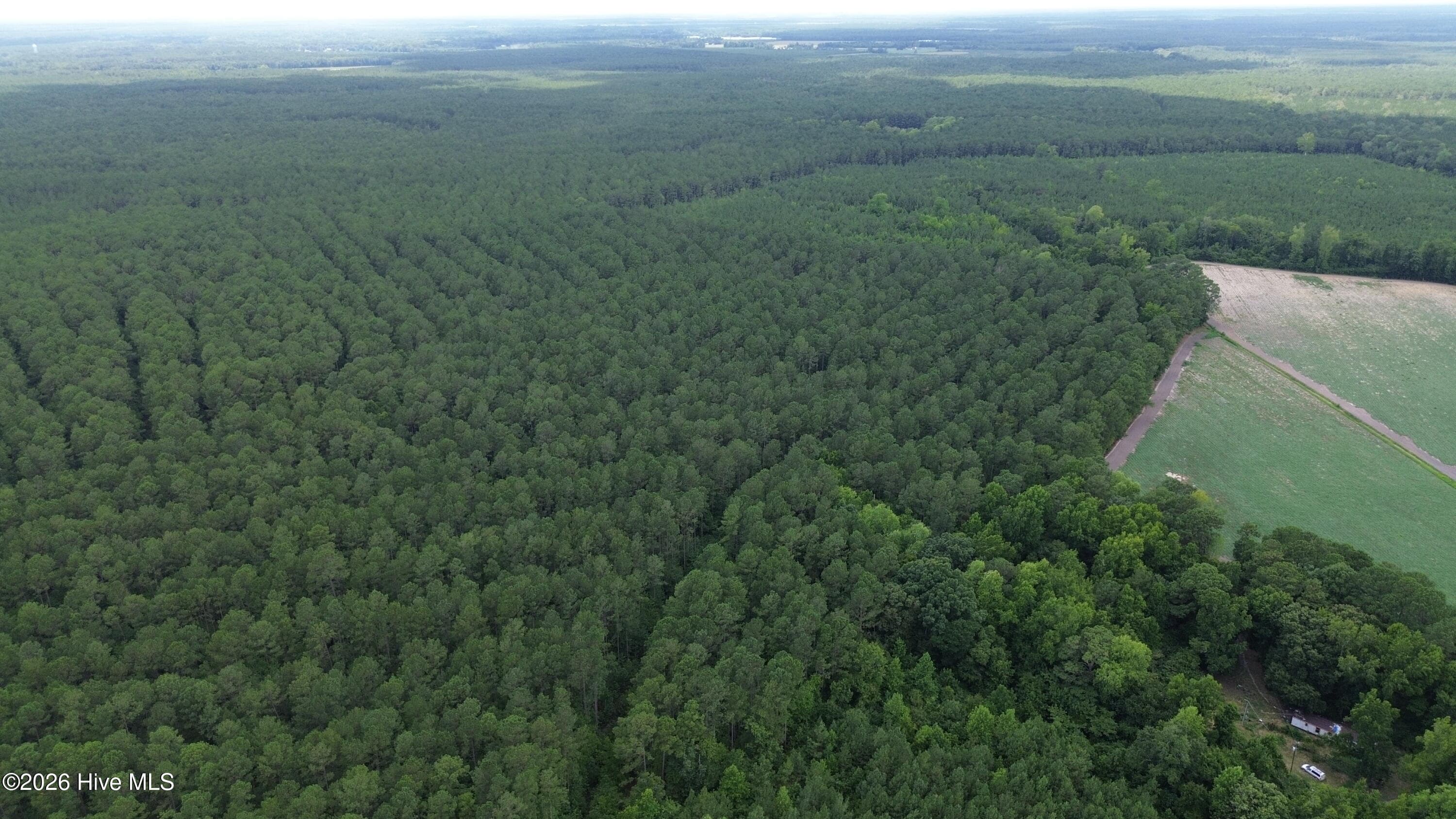 Wooded at Tbd Point Caswell Road, Atkinson, NC 28421, photo 9 of 16