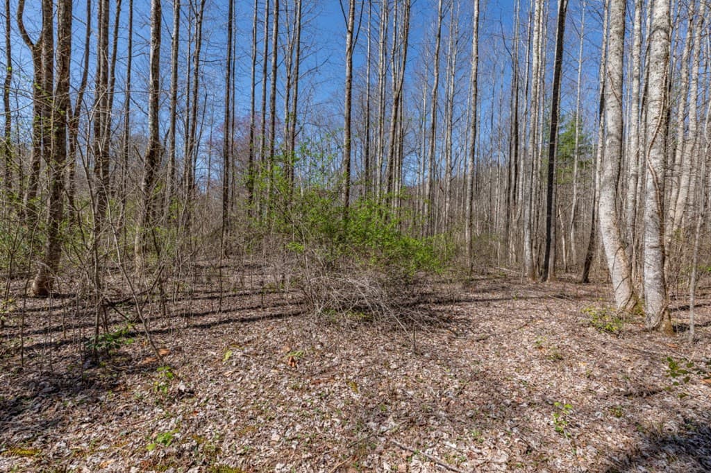 Land at Lots 12+ Tusquittee Crossing, Hayesville, NC 28904, Hayesville, photo 5 of 14
