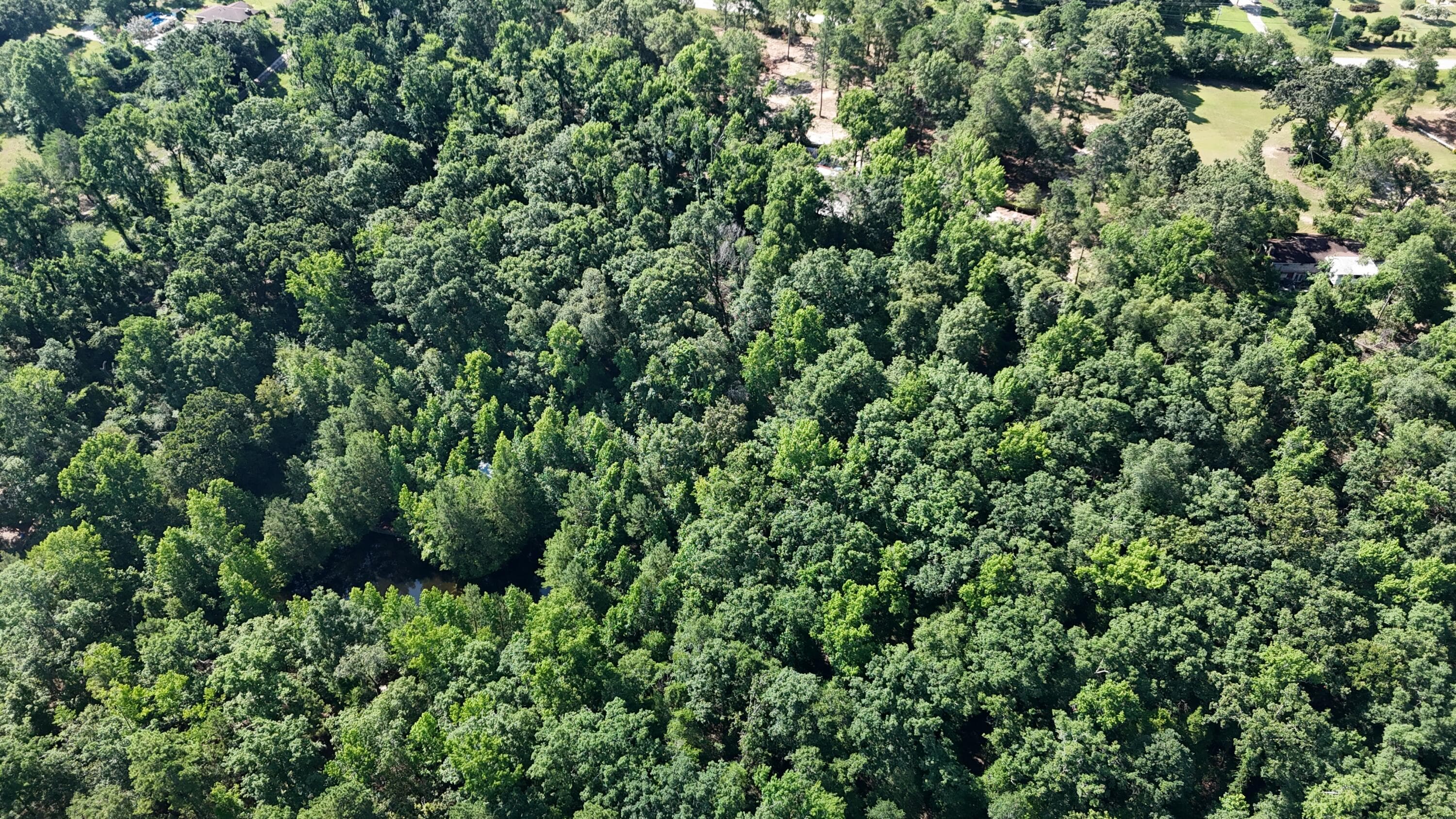 Undeveloped at 2031 Mcdade Road, Hephzibah, GA 30815, photo 11 of 16