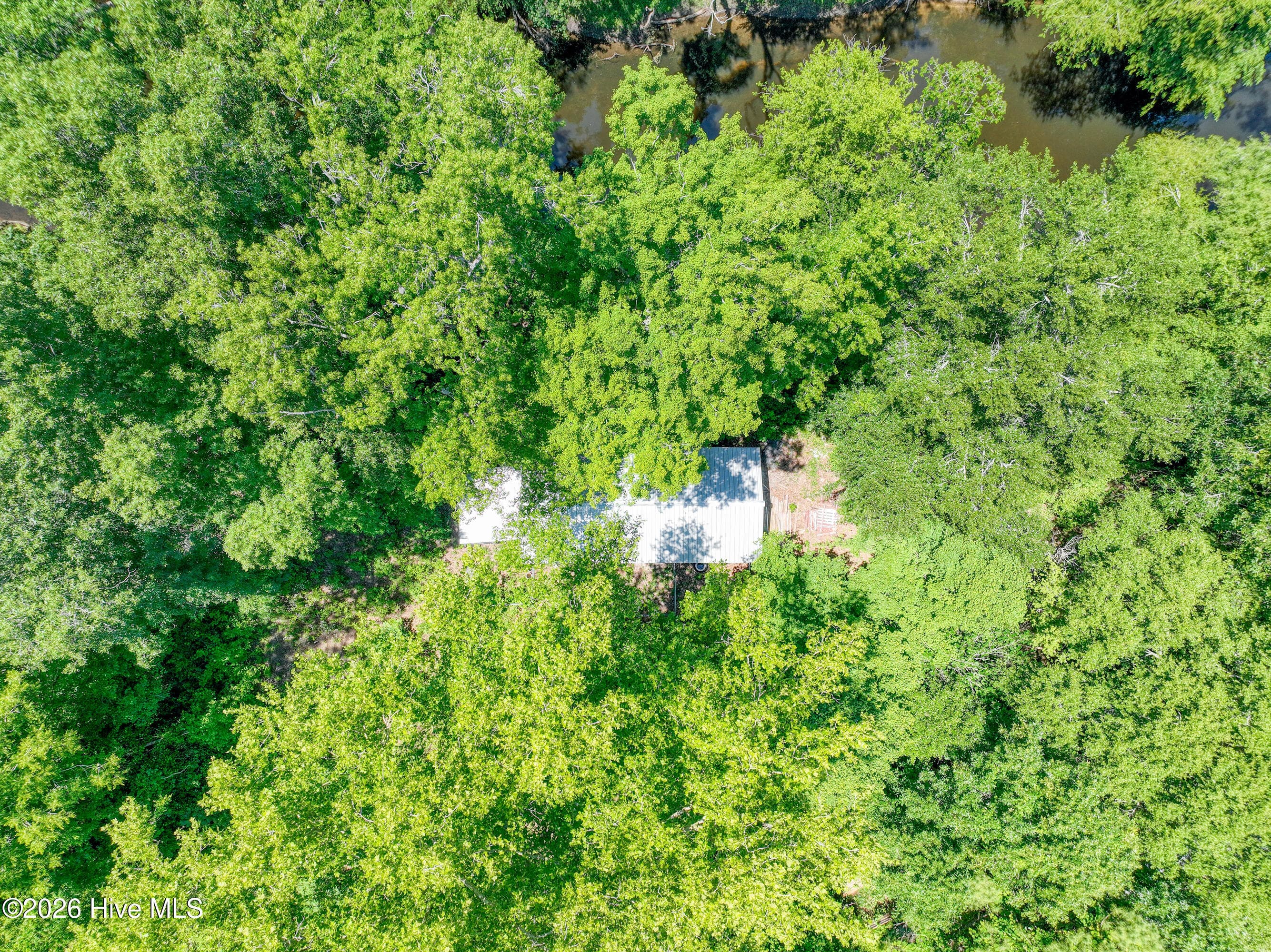 Undeveloped at 107 Highway 41 E, Trenton, NC 28585, photo 7 of 21