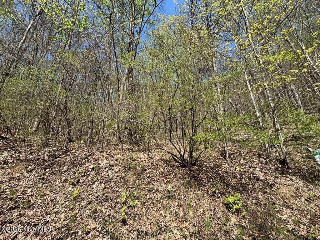 Wooded at Lot 4 Outlook Road, Murphy, NC 28906, photo 3 of 10