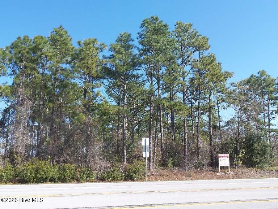 Undeveloped at 0 Nine Mile Road, Newport, NC 28570, photo 7 of 10