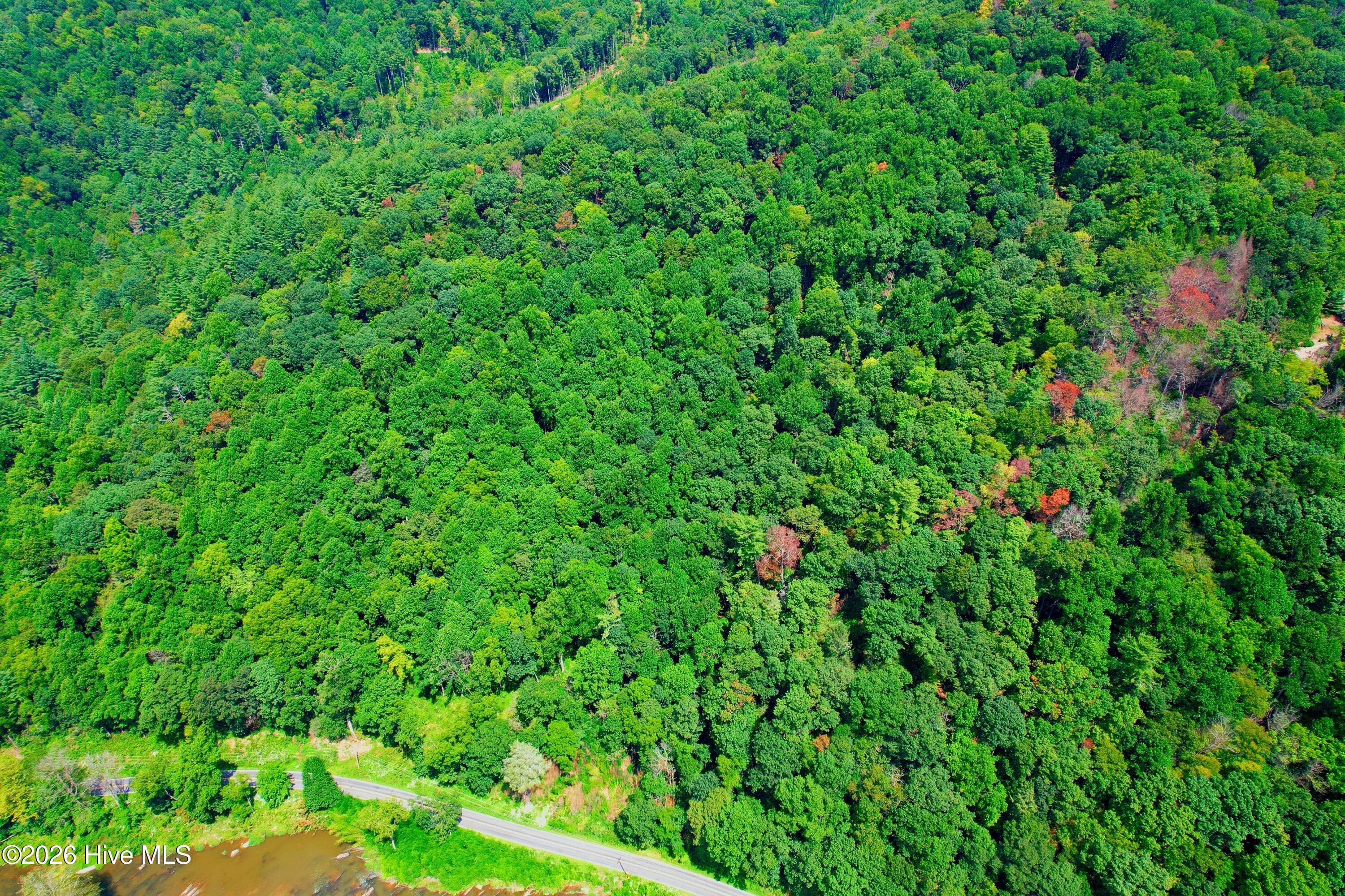 Undeveloped at 2872 Panther Creek Road, Clyde, NC 28721, photo 15 of 82