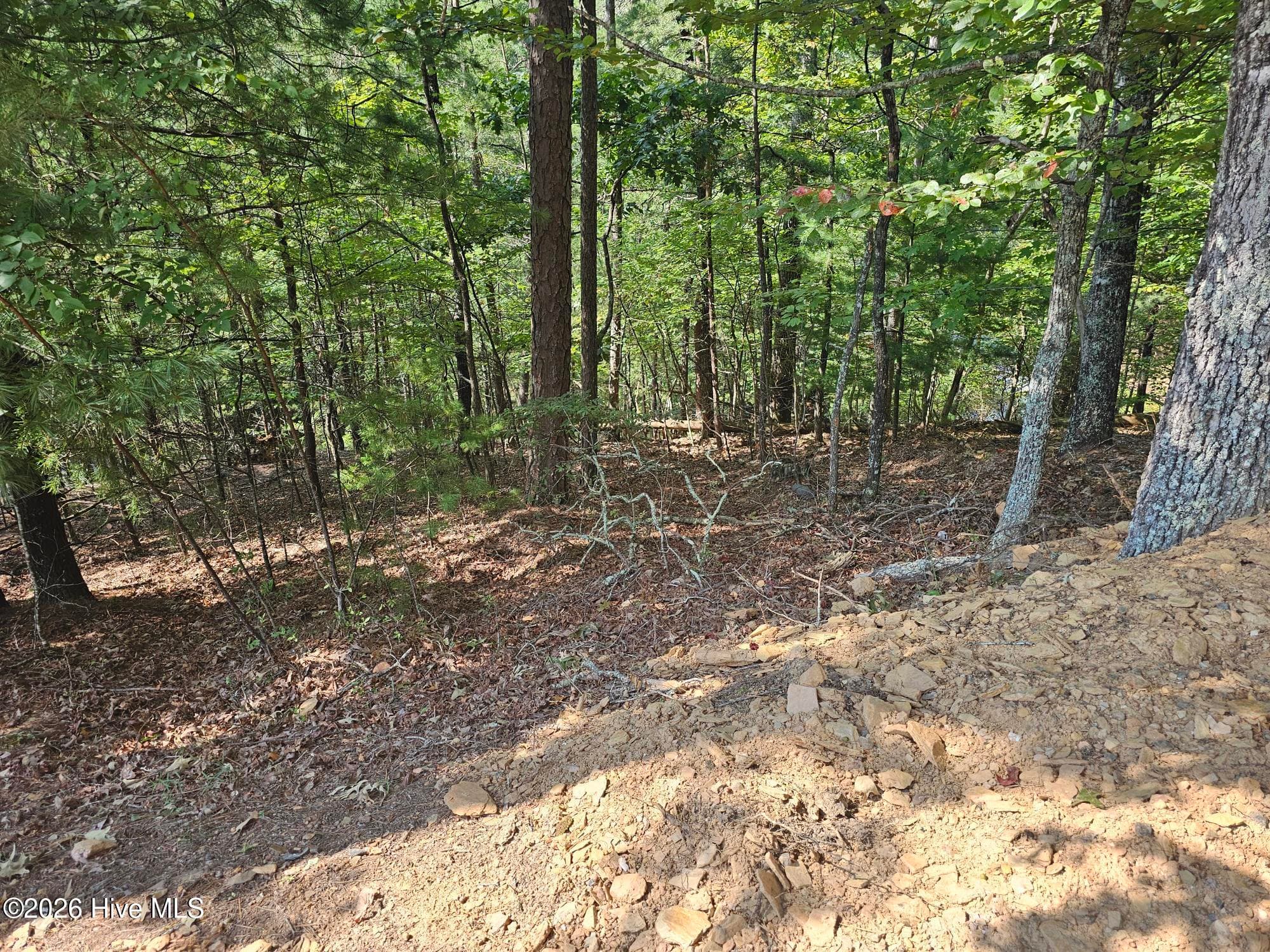 Residential Lot at Lot 76 Wildcat Drive, Murphy, NC 28906, photo 8 of 11