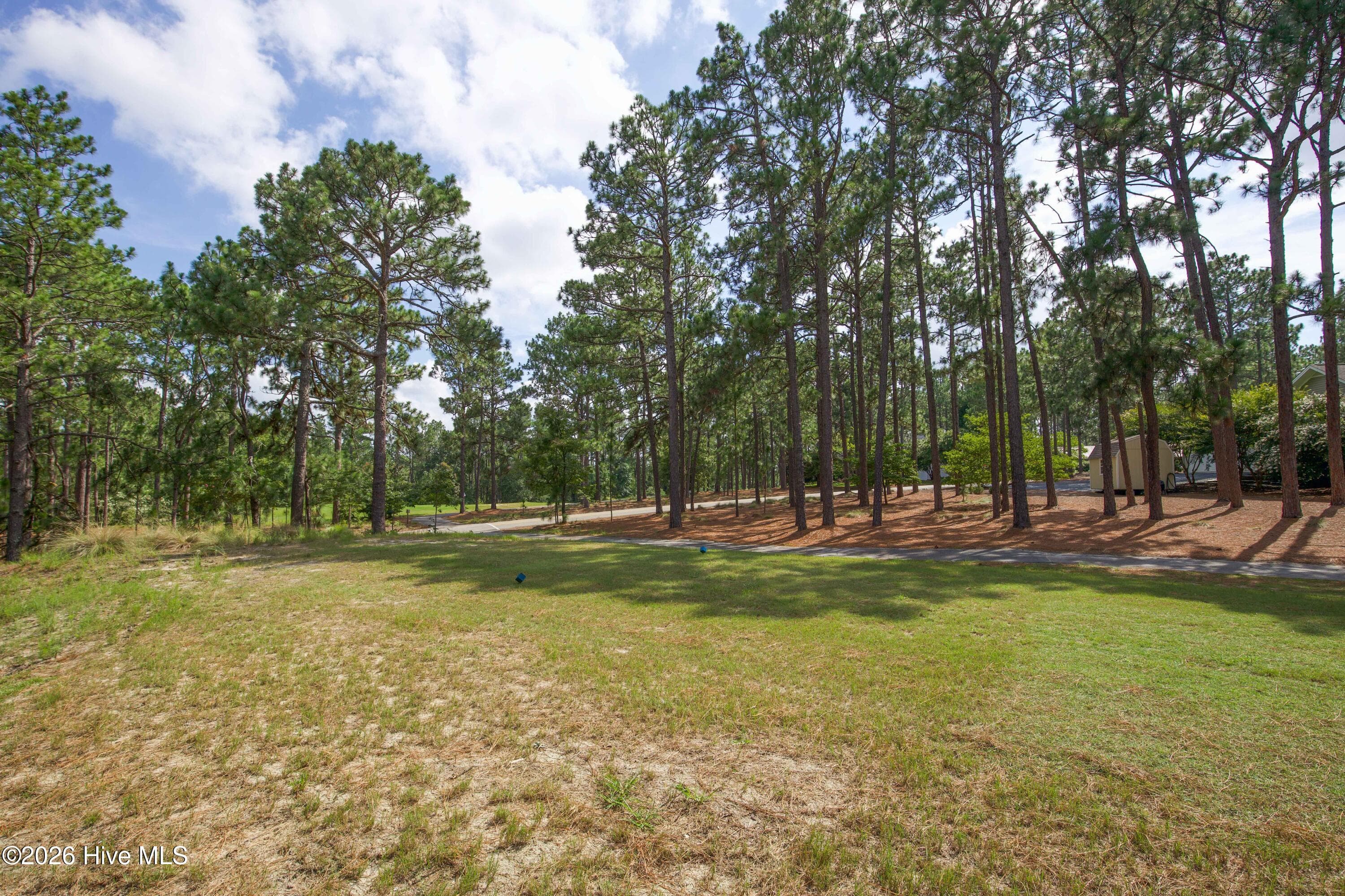 The Woods Golf Course - 48 Martin Drive, Whispering Pines, NC 28327, Whispering Pines