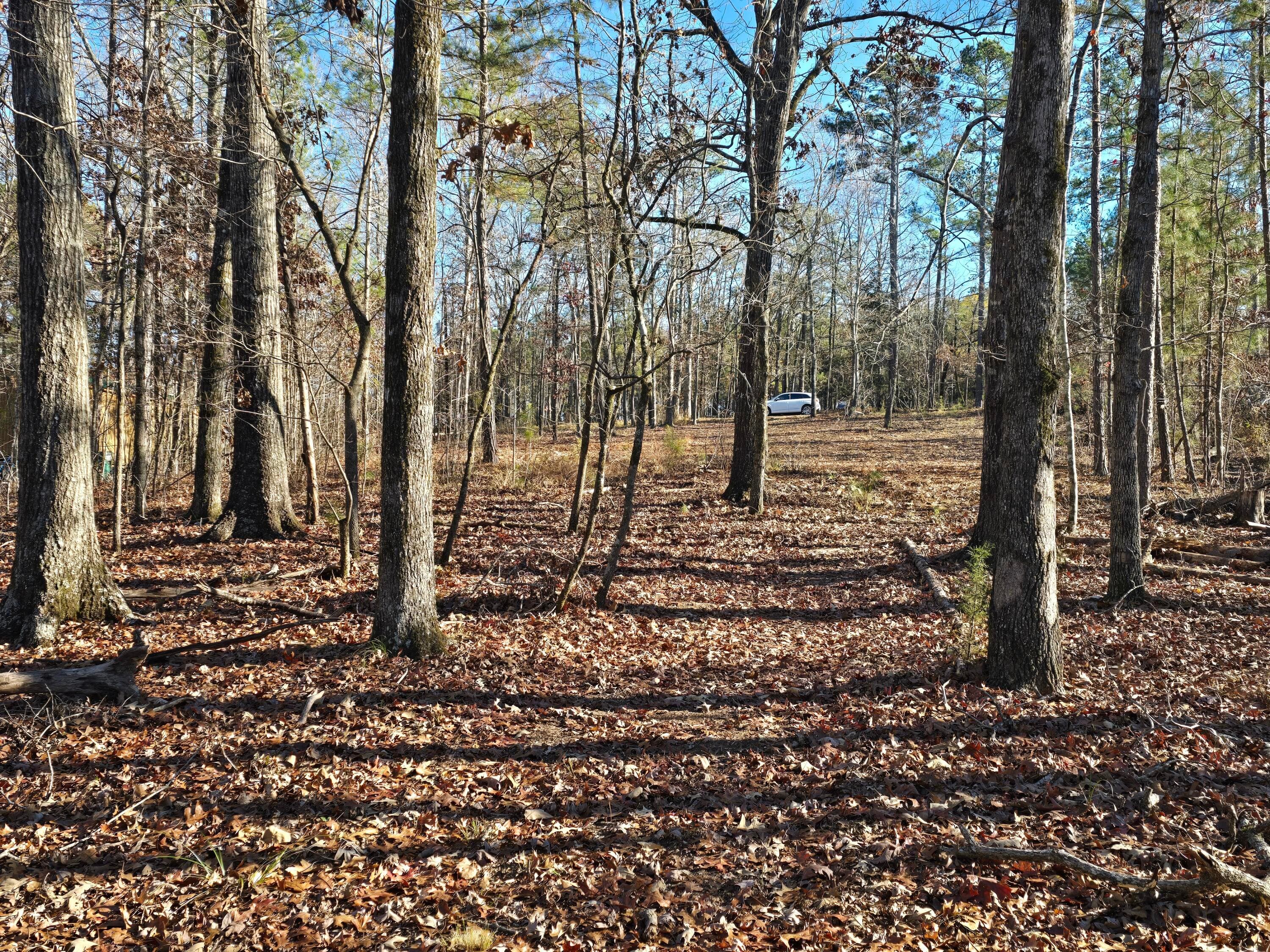 Residential Lot at 1102 Dogwood Drive, Lincolnton, GA 30817, photo 44 of 46