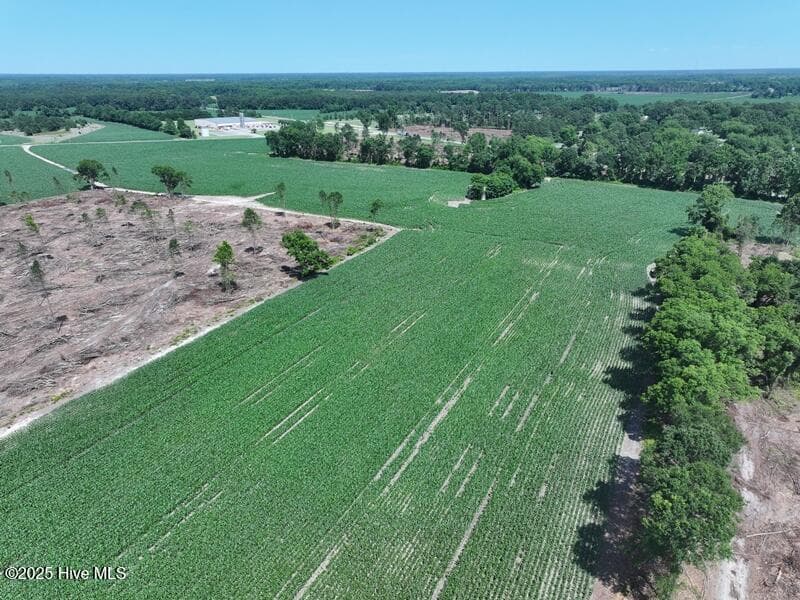 Agriculture at Tbd Highway 71, Red Springs, NC 28377, photo 5 of 17