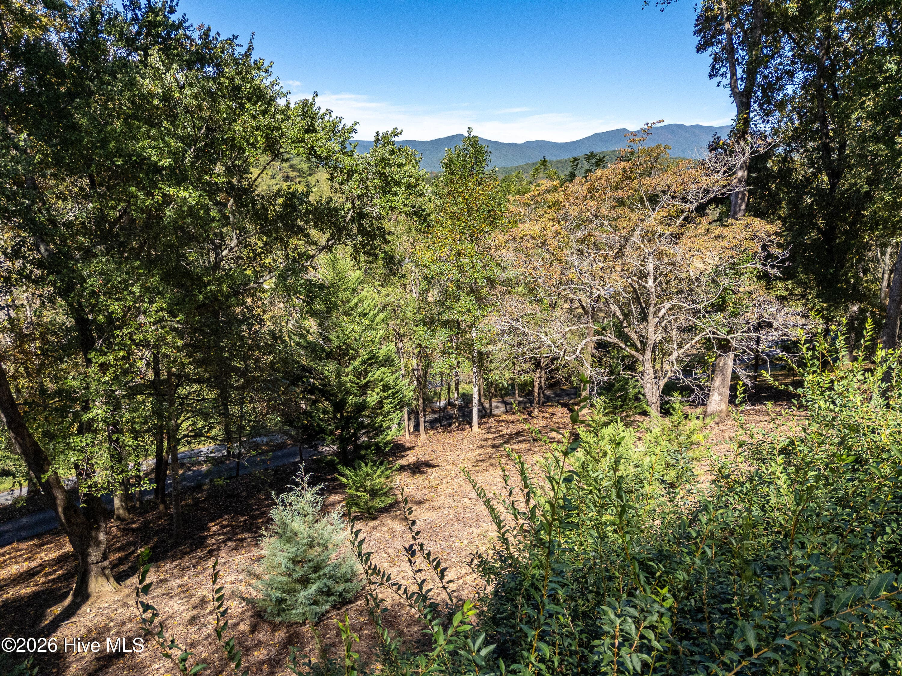 Single Family Residence at 201 Primrose Lane, Hayesville, NC 28904, photo 45 of 55