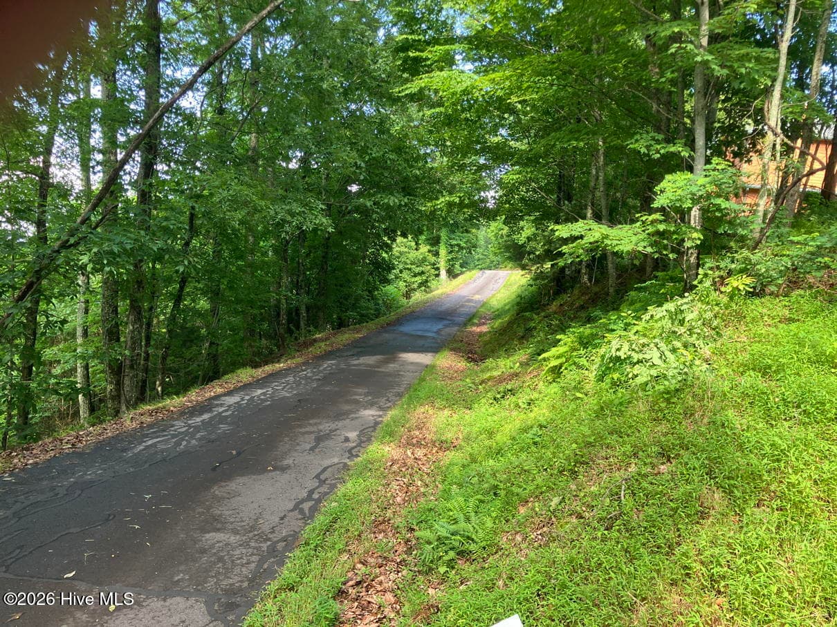 Residential Lot at Lot 51 51 Buck Ridge Drive, Murphy, NC 28906, photo 3 of 10