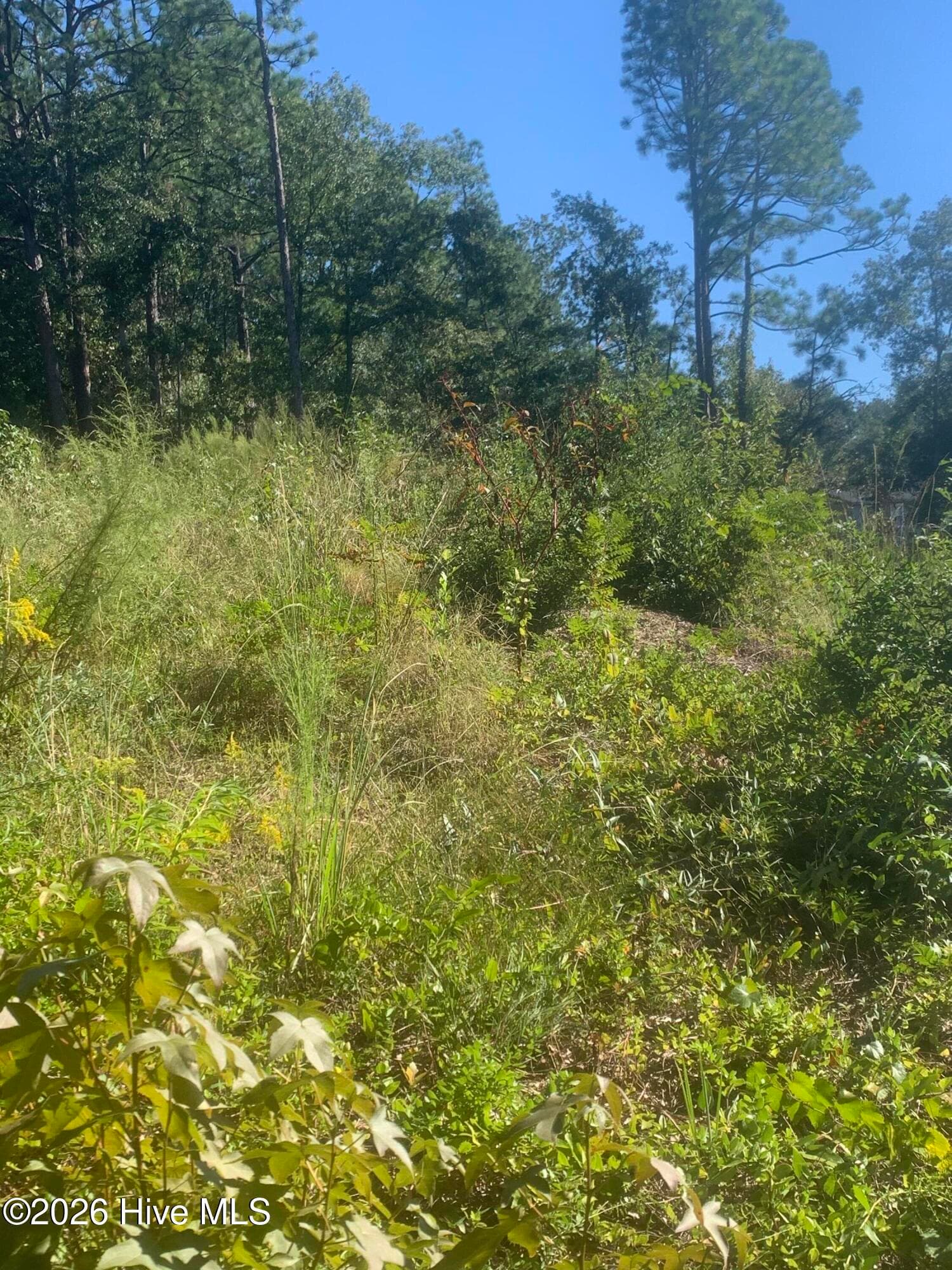 Residential Lot at 2331 Rutherford Avenue, Augusta, GA 30906, photo 4 of 11
