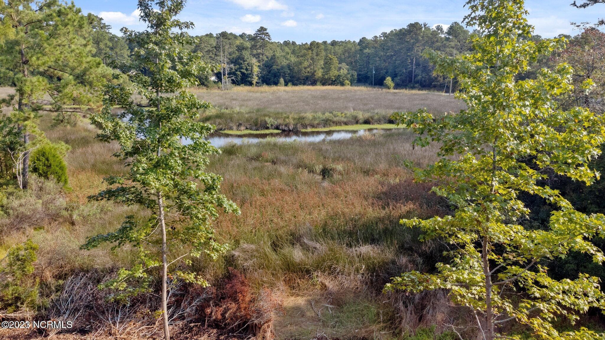 Elevated view from Dees Ave road frontage towards the Bay River - 314 Multiple Lots Dees Avenue, Bayboro, NC 28515