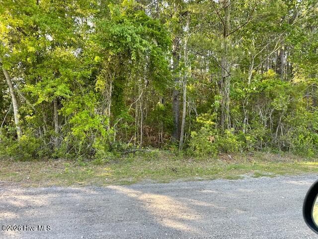 Wooded at 4795 Acres Lane SE, Southport, NC 28461, photo 4 of 5