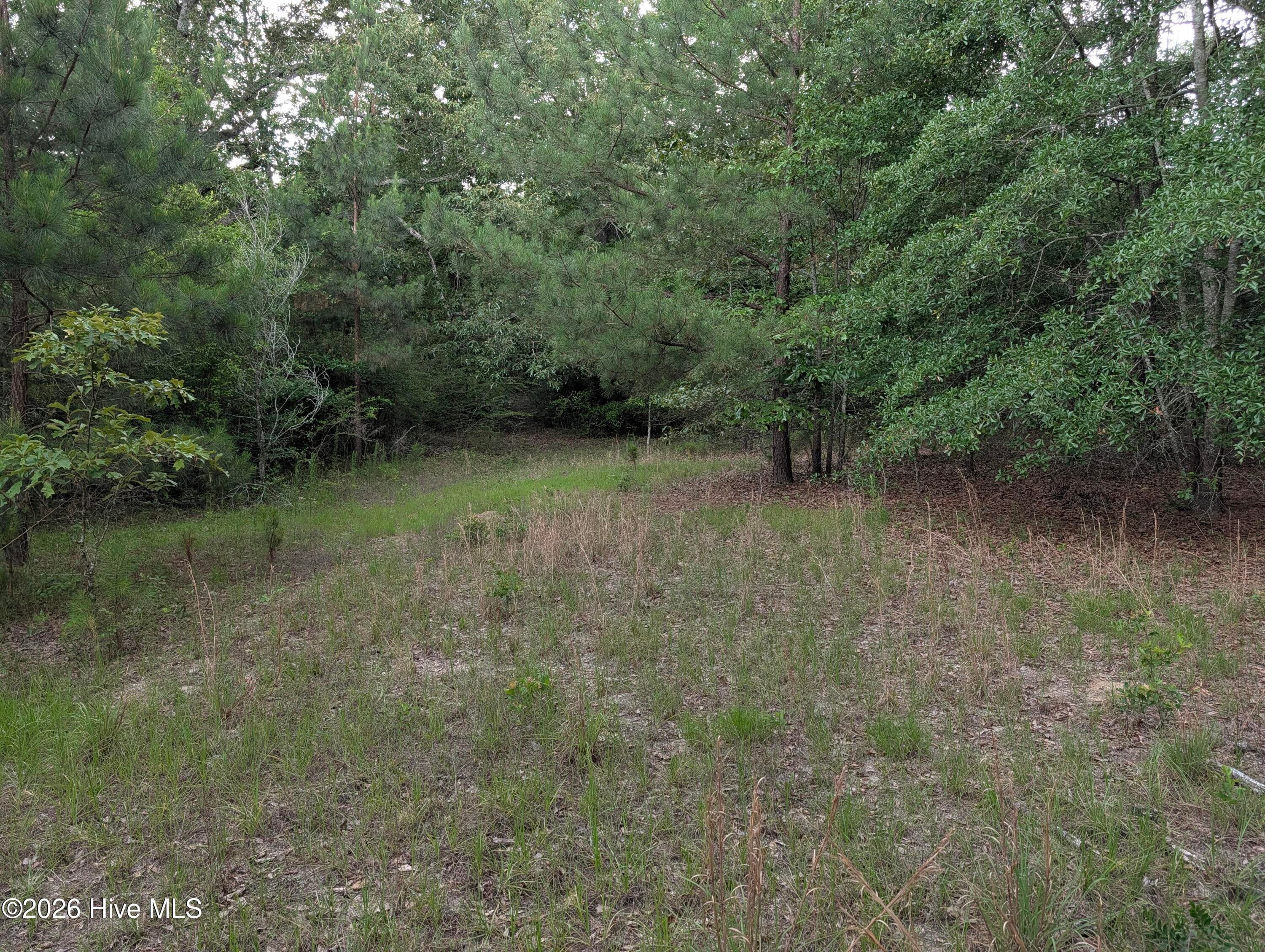 Residential Lot at 285 Garvin Drive, Wagener, SC 29164, photo 14 of 14