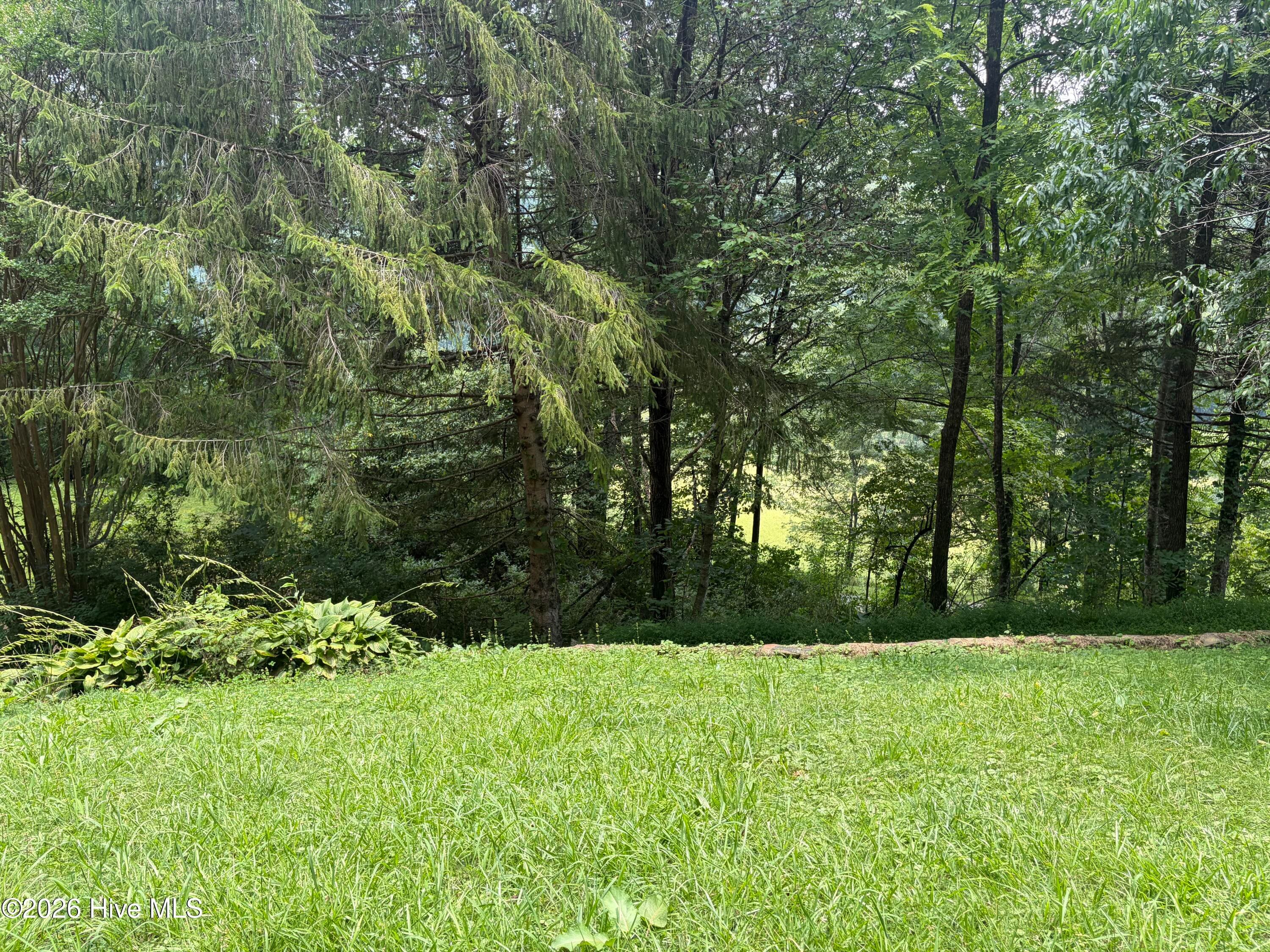 Sideyard - 913 Franks Creek Road, Robbinsville, NC 28771