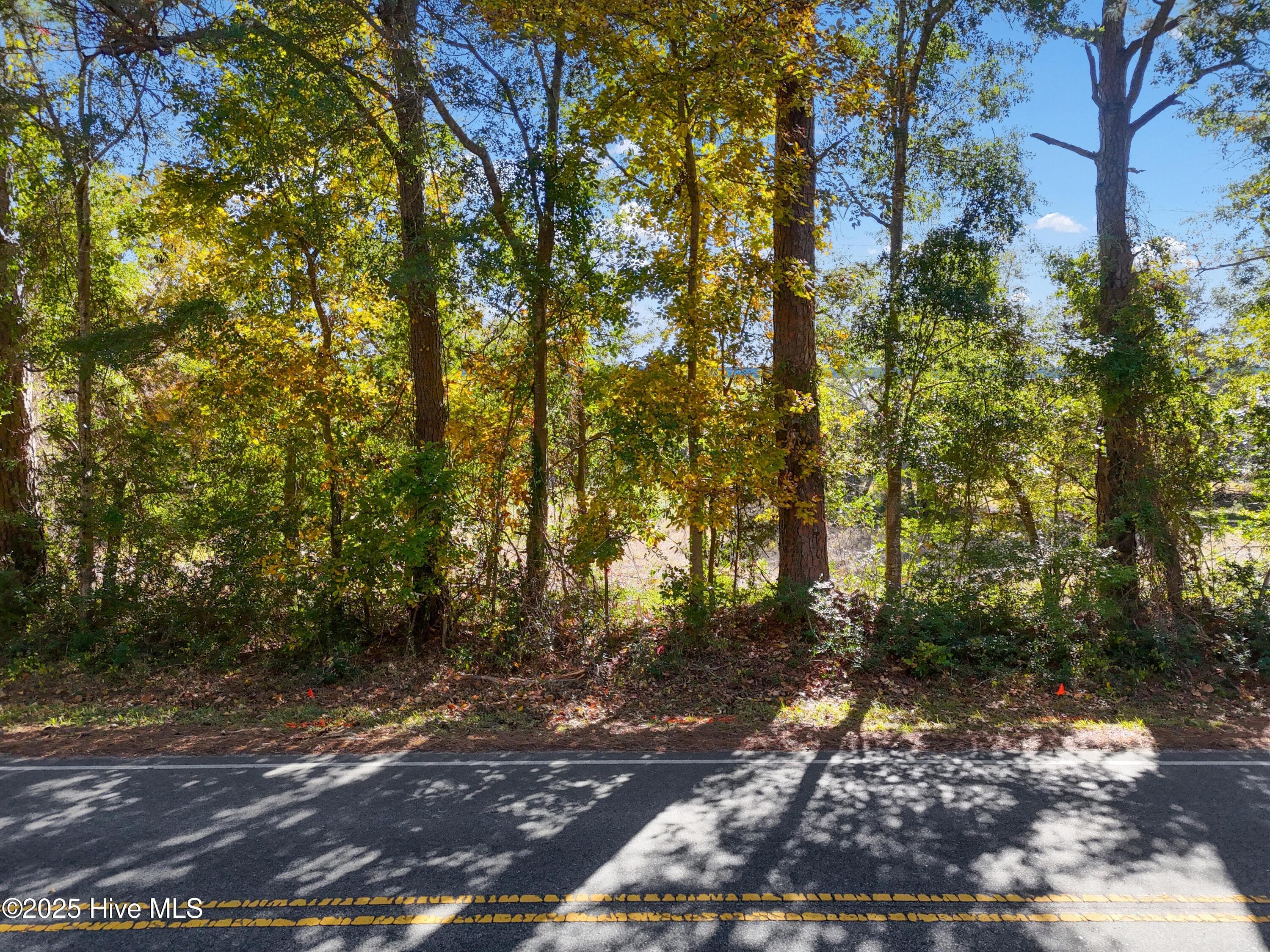 Residential Lot at 1.01 Acres P/O 12 1.01 Acres Boones Neck Road SW, Supply, NC 28462, photo 4 of 5