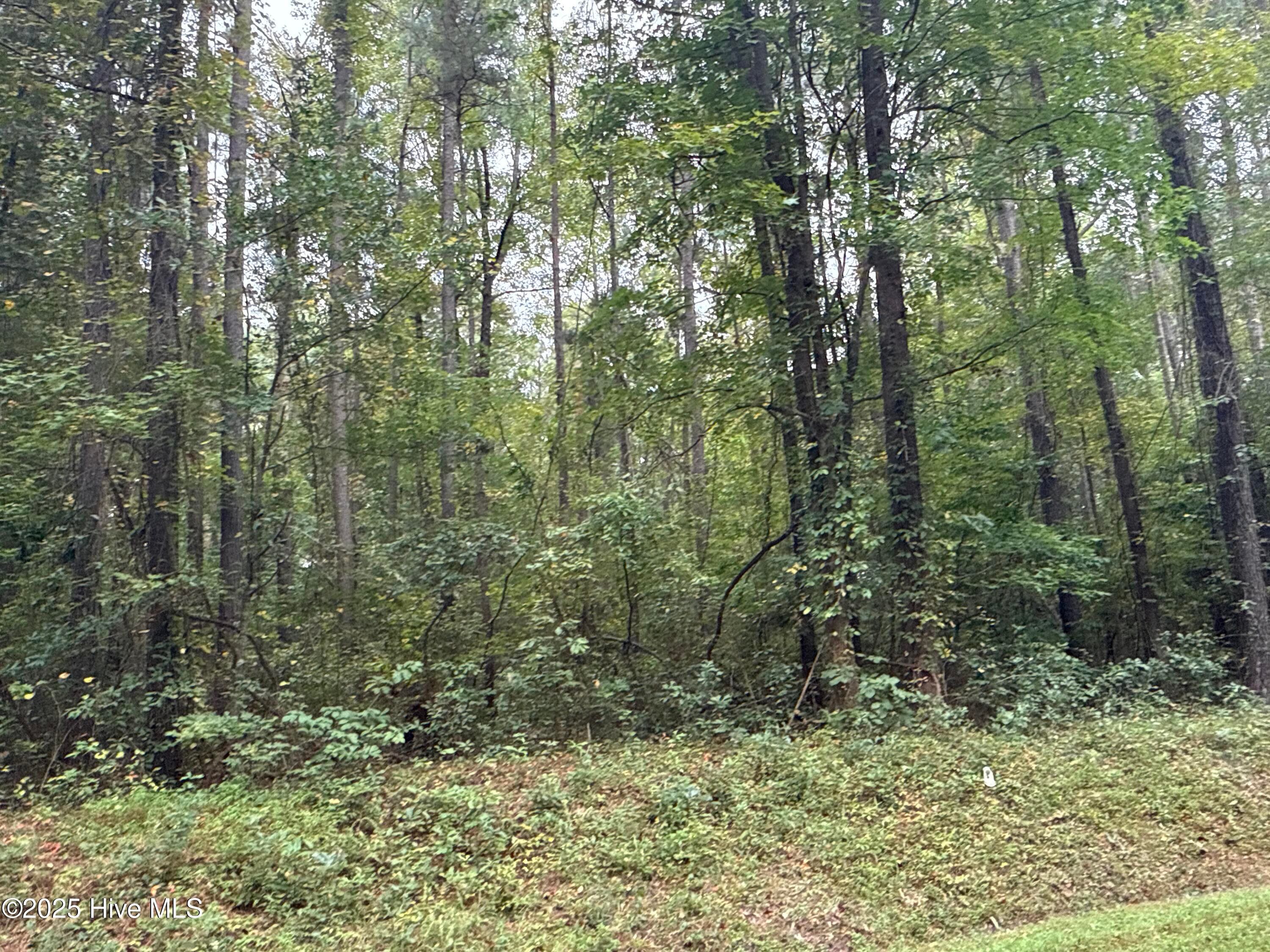 Recreation at 0 Creekmur Road, Edward, NC 27821, photo 3 of 13