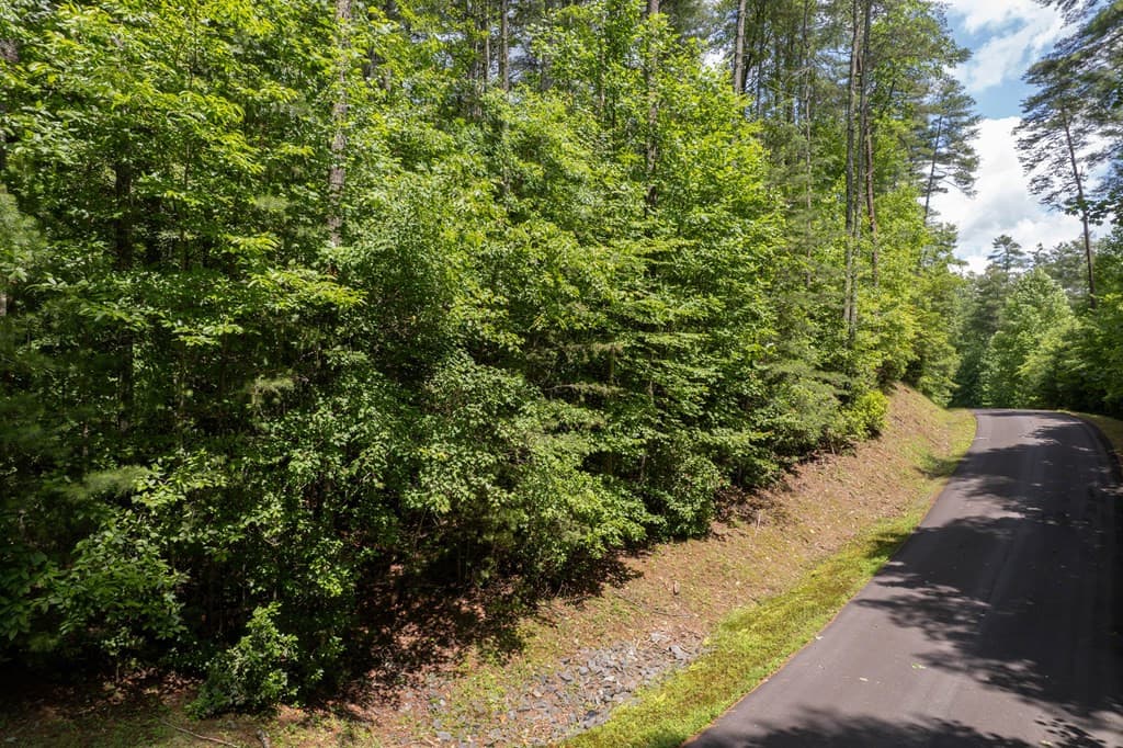 Residential Lot at Tbd 11 Spectacular Boulevard, Hayesville, NC 28904, Hayesville, photo 6 of 9