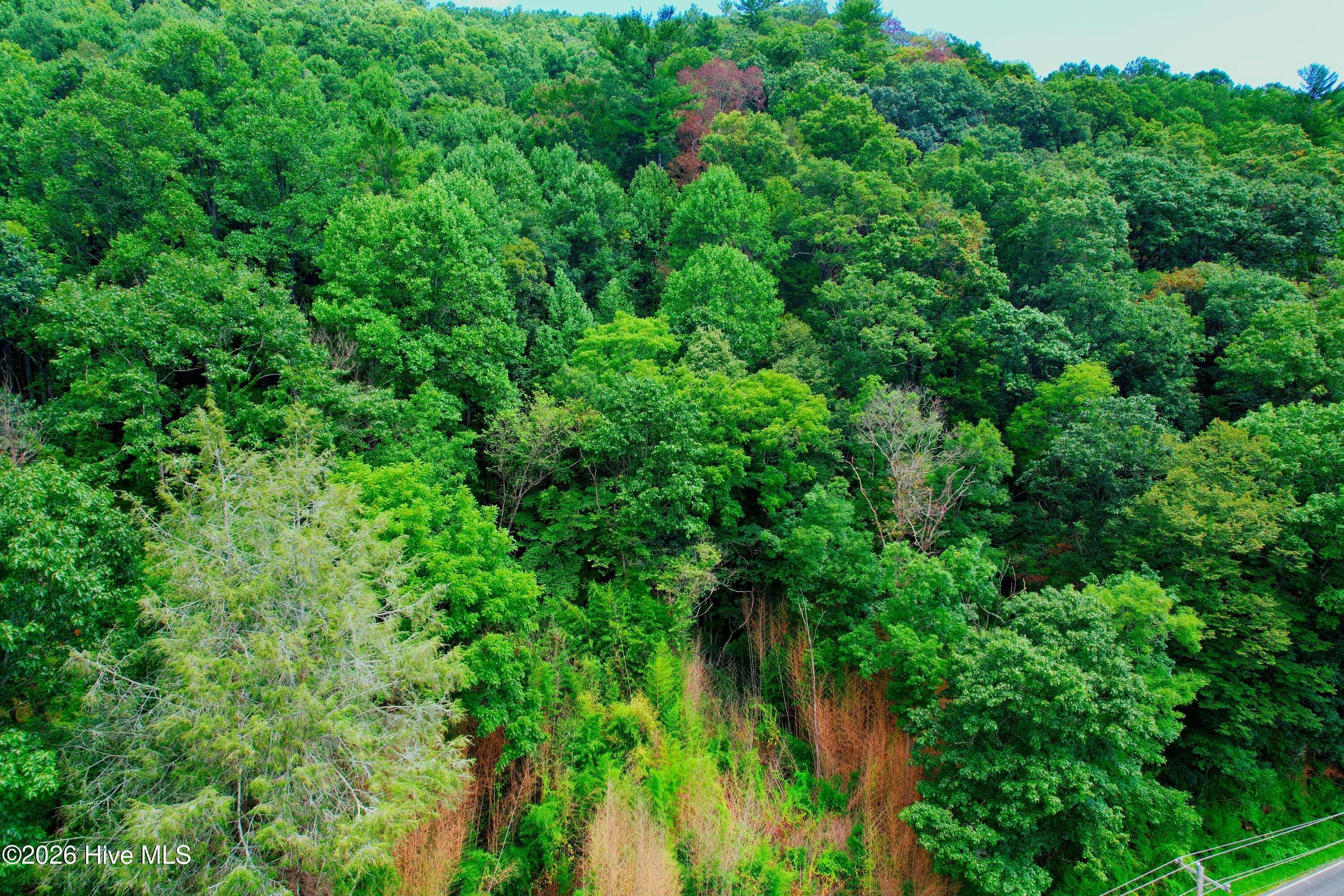 Undeveloped at 2872 Panther Creek Road, Clyde, NC 28721, photo 71 of 82