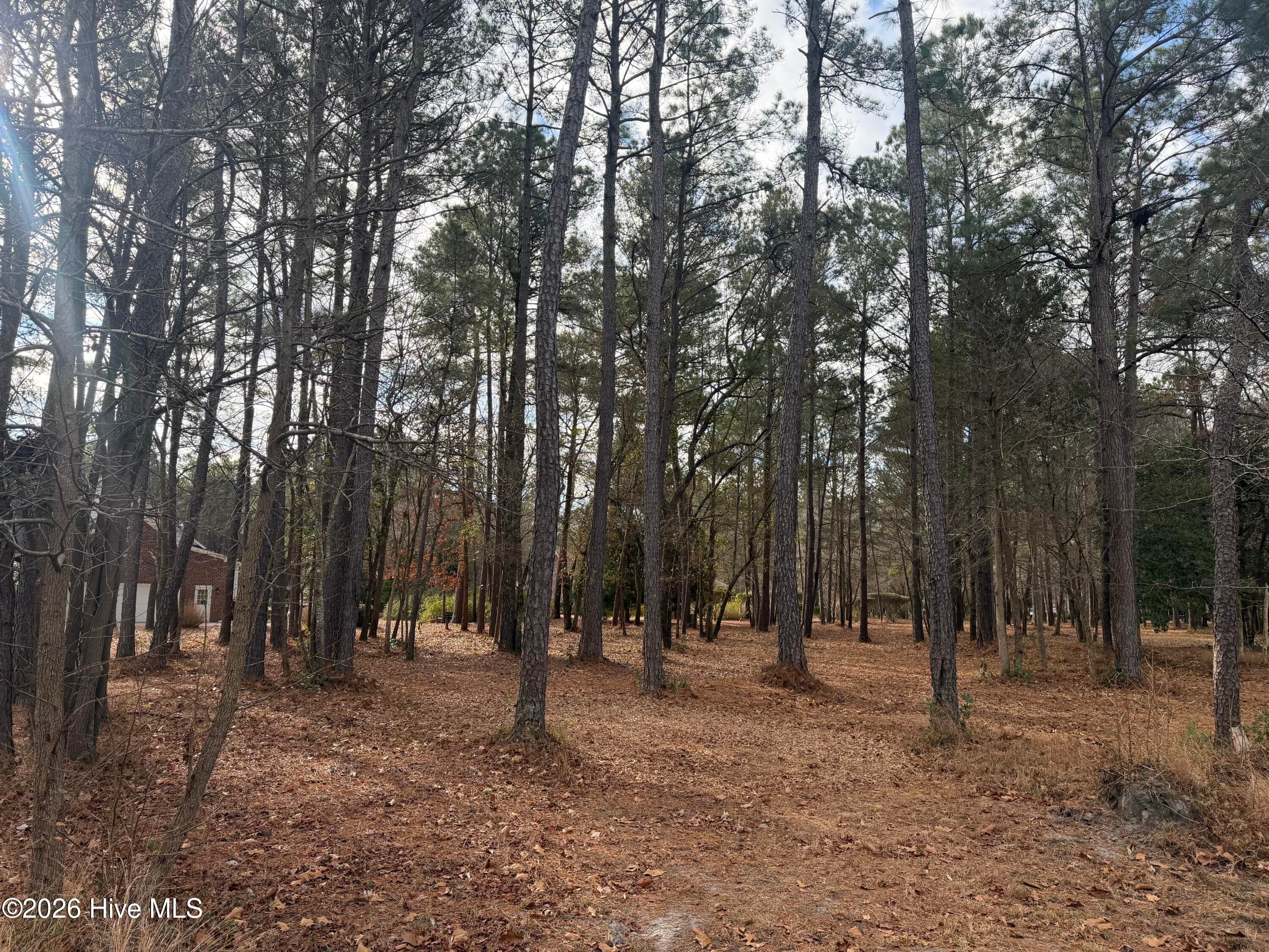 109 42 Pine Ridge Drive, Wallace, NC 28466