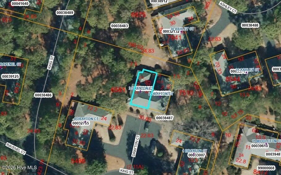 Townhouse at 3 Drayton Court, Southern Pines, NC 28387, photo 74 of 75