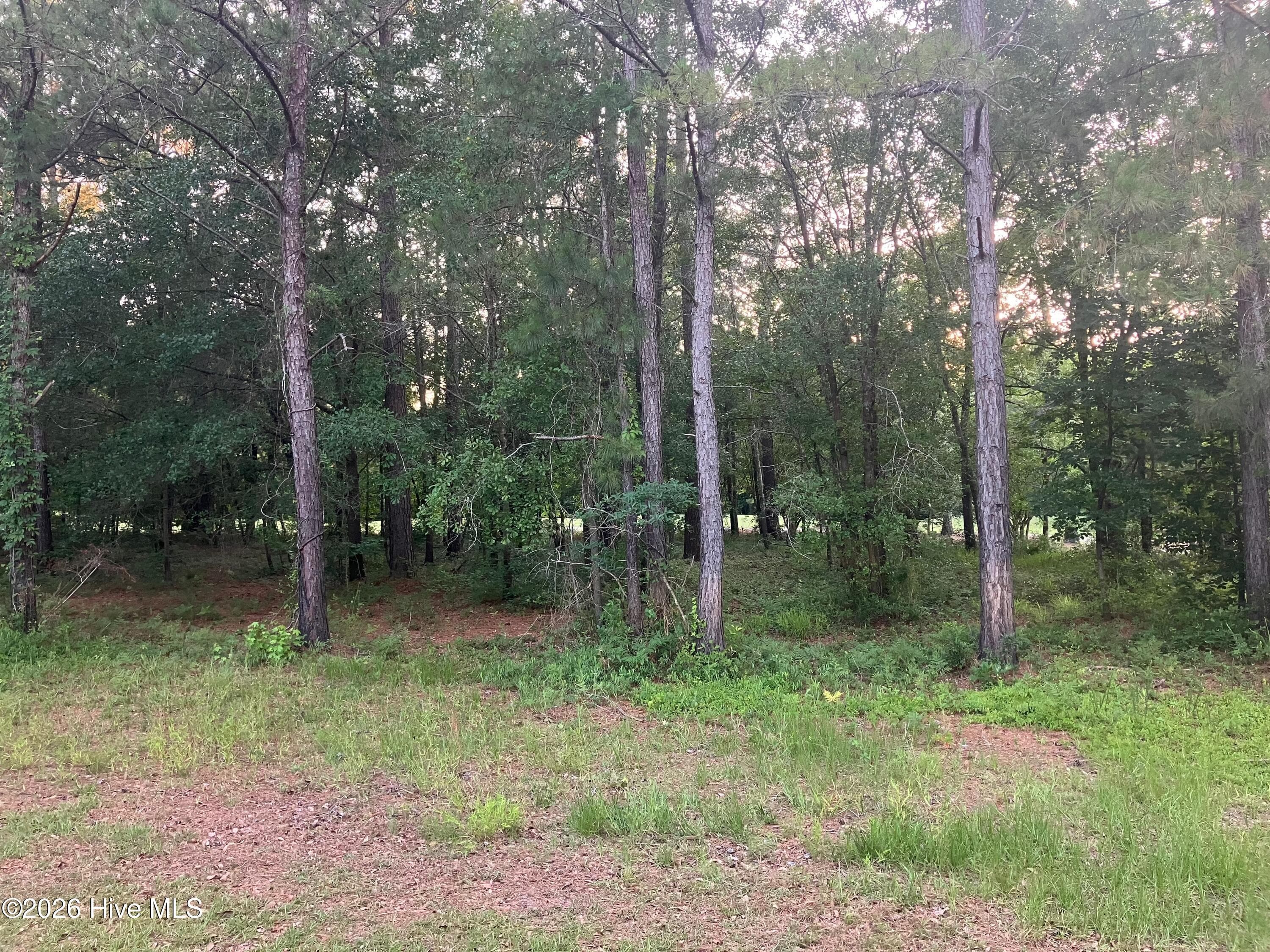 112 RS56 Riverstone Run Drive, Wallace, NC 28466