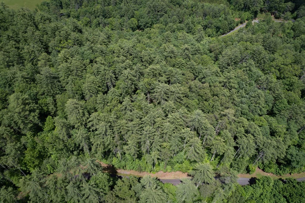 Residential Lot at Tbd 11 Spectacular Boulevard, Hayesville, NC 28904, Hayesville, photo 2 of 9
