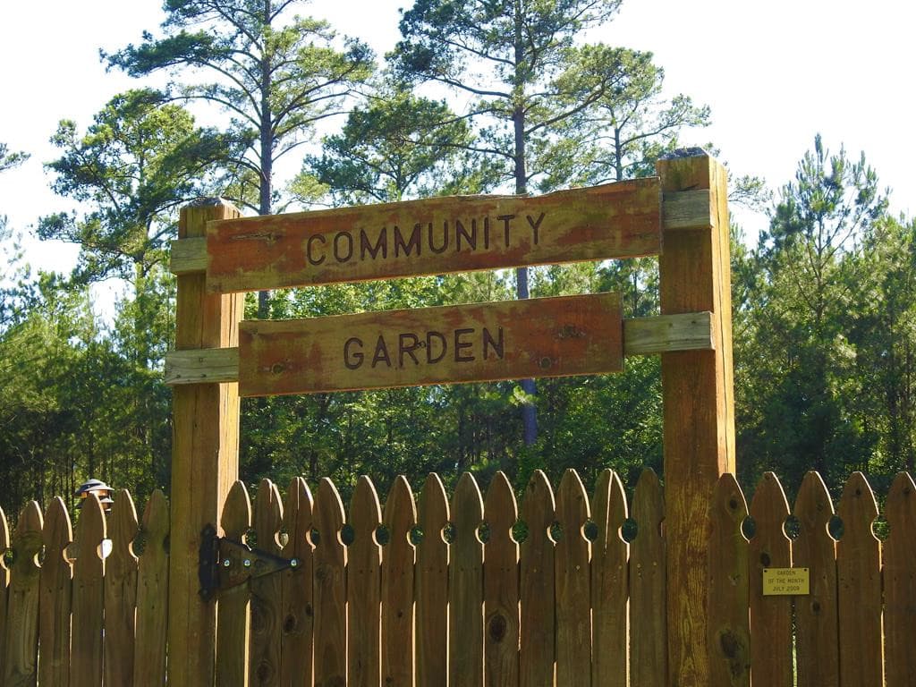 Undeveloped at L13 B28 13 Monroe Lane, McCormick, SC 29835, photo 20 of 32