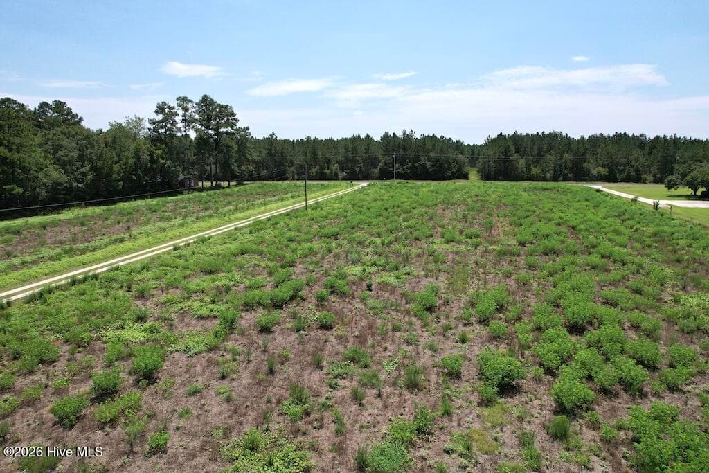 Mixed Use at 00 Ward Town Road S, Whiteville, NC 28472, photo 10 of 49