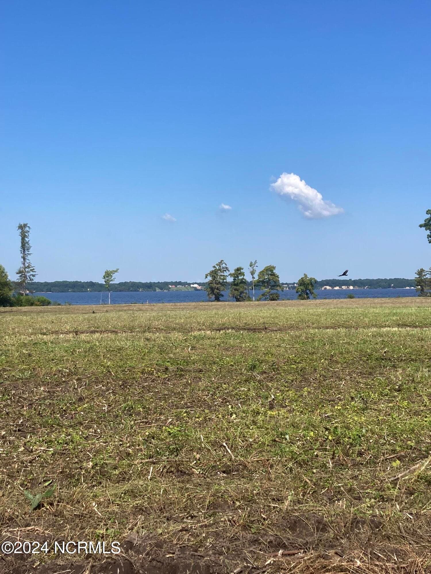 Undeveloped at 3047 Bass Landing Road, Edenton, NC 27932, Edenton, photo 8 of 19