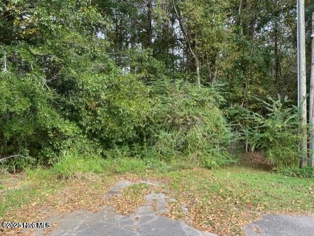 0 Near 715 E 1st Avenue, Chadbourn, NC 28431