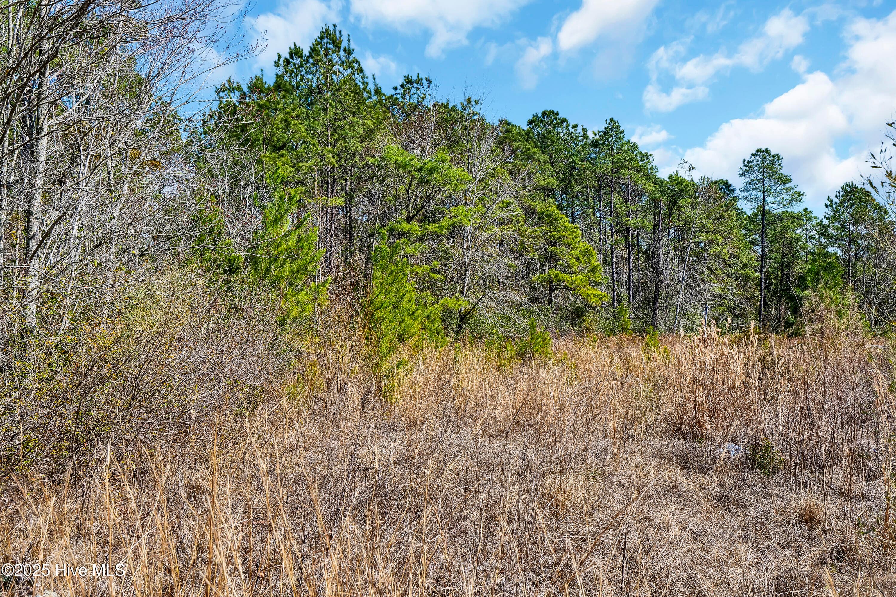 Residential Lot at L4 Brown Heritage Road, Maple Hill, NC 28454, photo 13 of 15