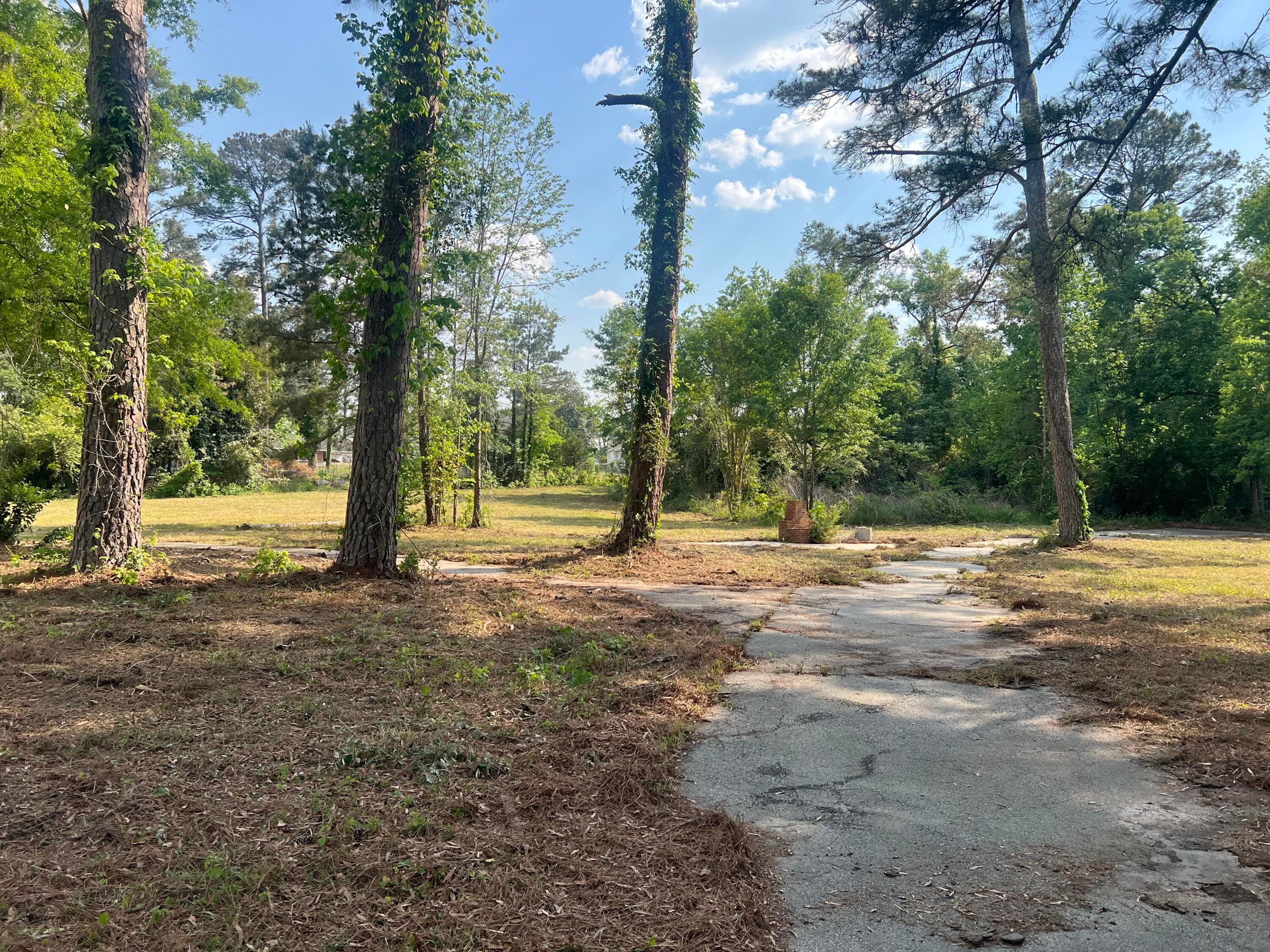 Residential Lot at 323 Forrest Clary Drive, Thomson, GA 30824, photo 11 of 13