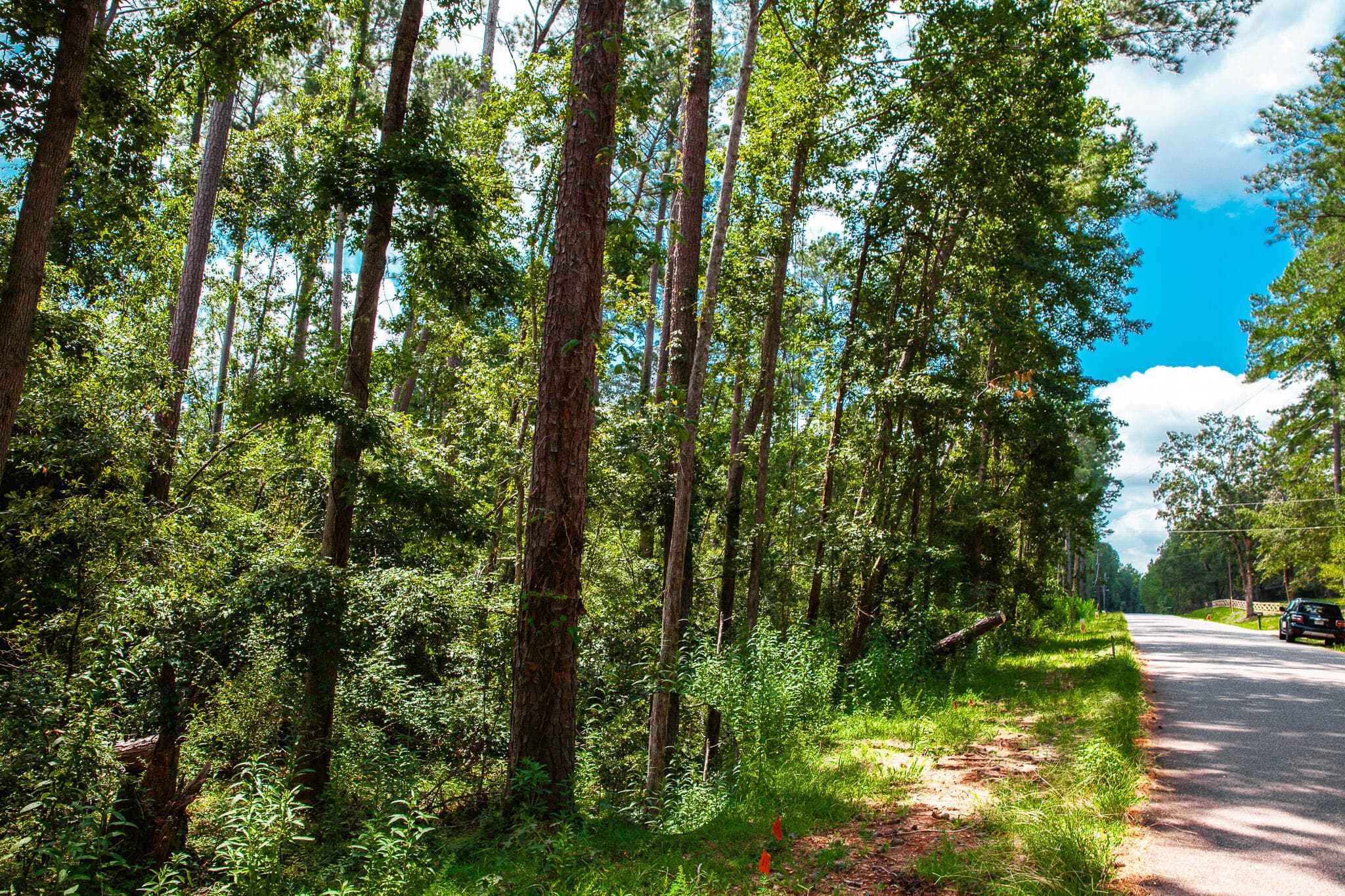 Undeveloped at Lot 4 Furey Drive, Clarks Hill, SC 29821, photo 2 of 9