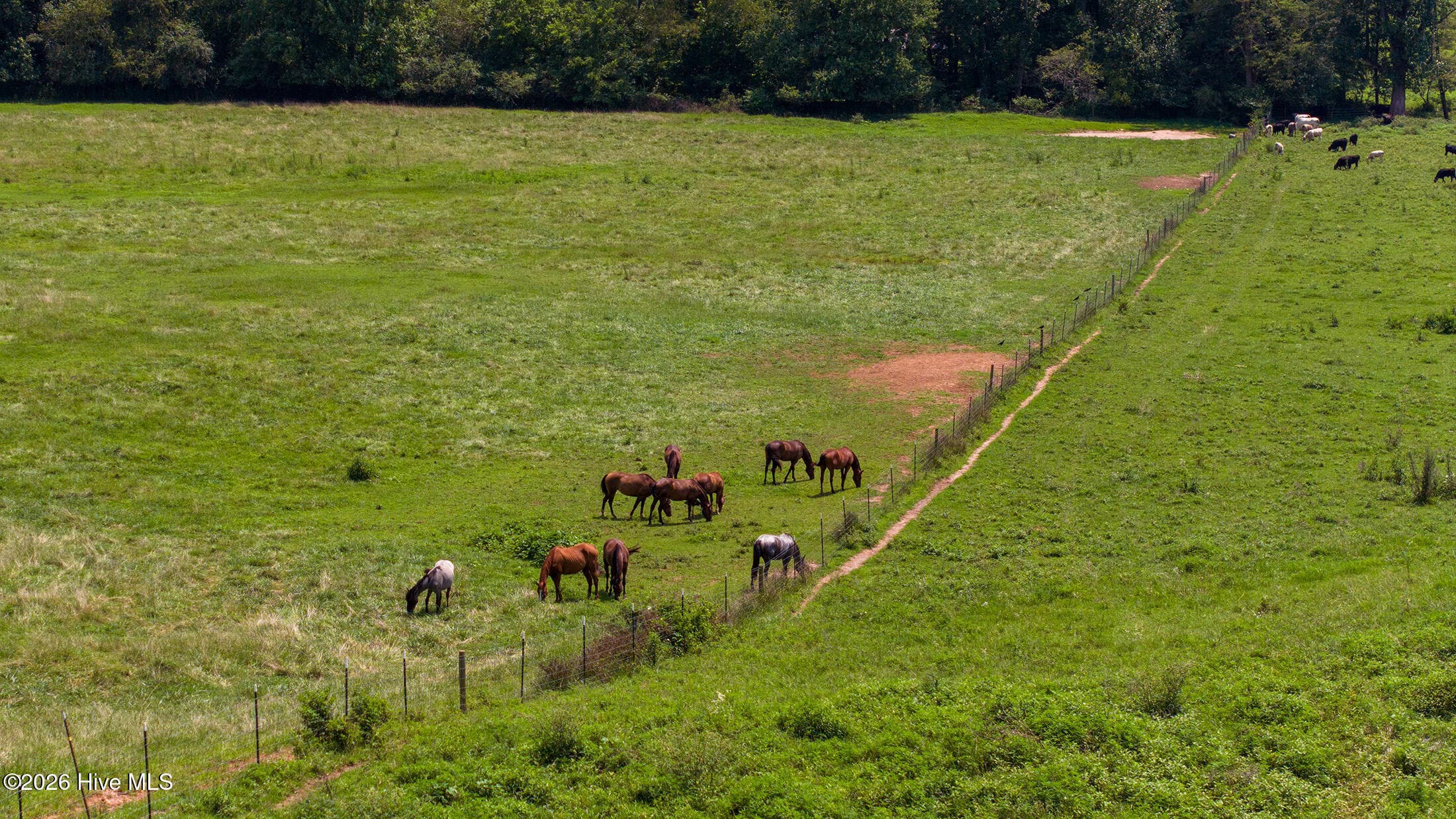 Agriculture at 51.20 Ac Bethabara Road, Hayesville, NC 28904, photo 4 of 17