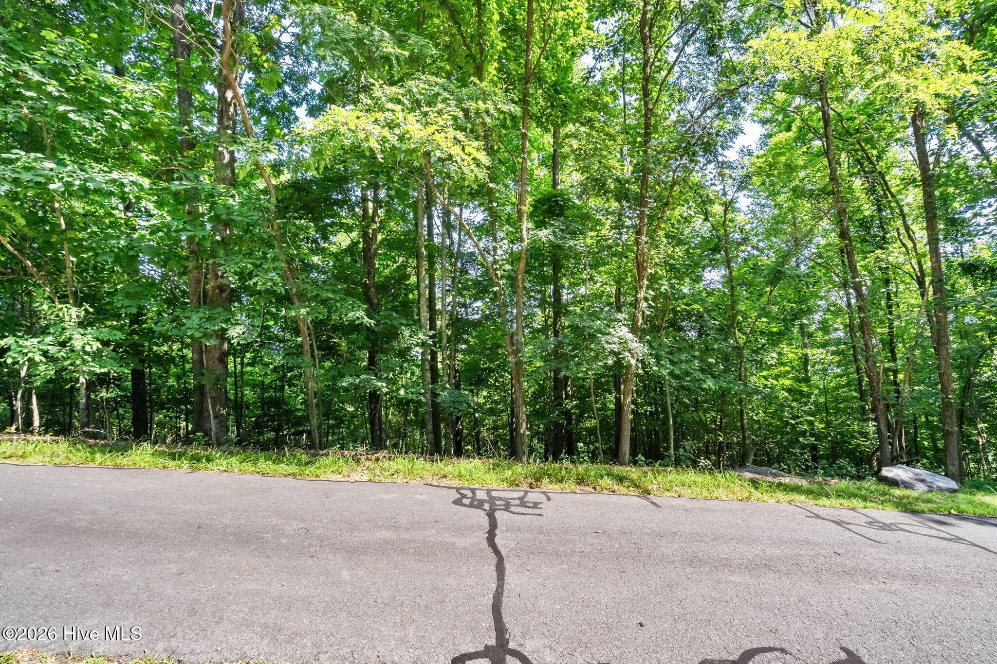 Undeveloped at 46 Buck Ridge Drive, Murphy, NC 28906, photo 12 of 17