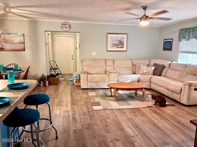 Single Family Residence at 11 Fayetteville Road, Elizabethtown, NC 28337, photo 7 of 14