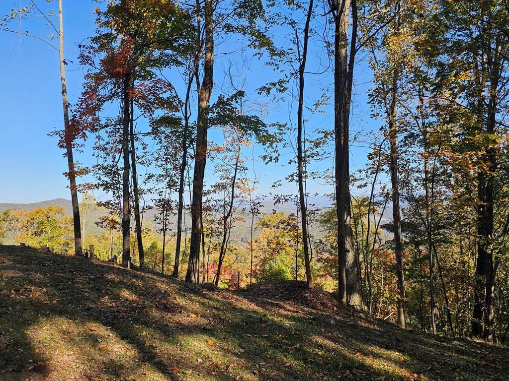 38 38 Trophy Buck Point, Murphy, NC 28906
